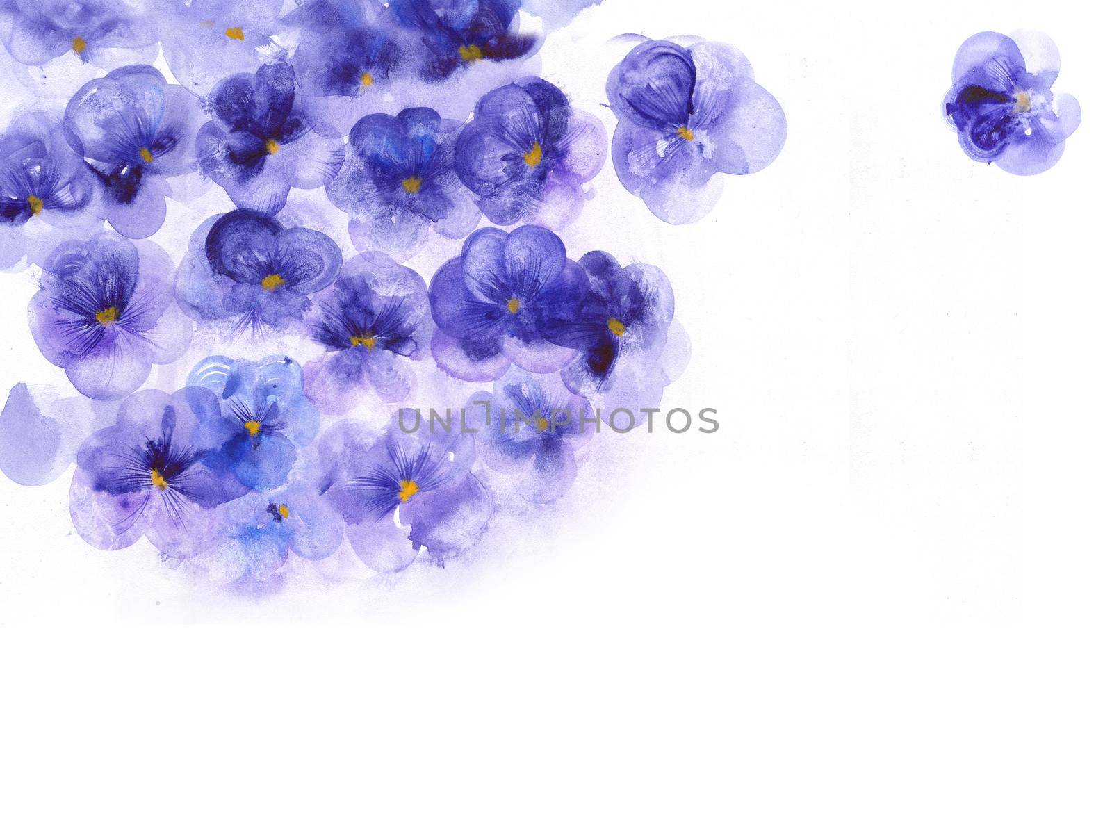 Purple flowers pansies. Template for the elegant design of invitations, cards, greetings or for high-res art prints