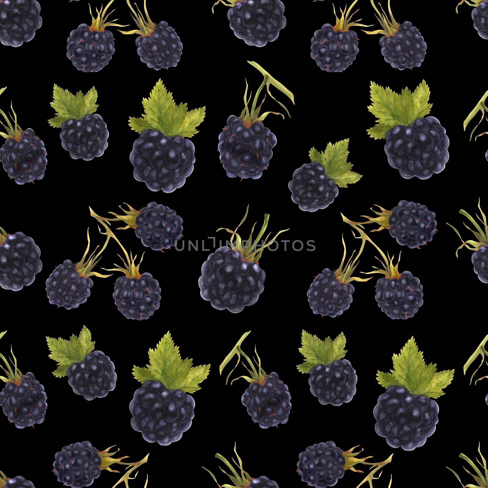 Modern watercolor botanical illustration. Blackberry. Seamless pattern, black backdrop