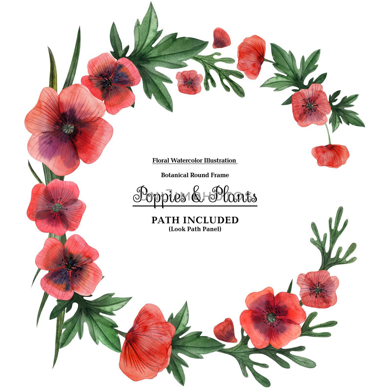 Wreaths from poppies and plants for decoration. Watercolor on a white backdrop, isolated, path included