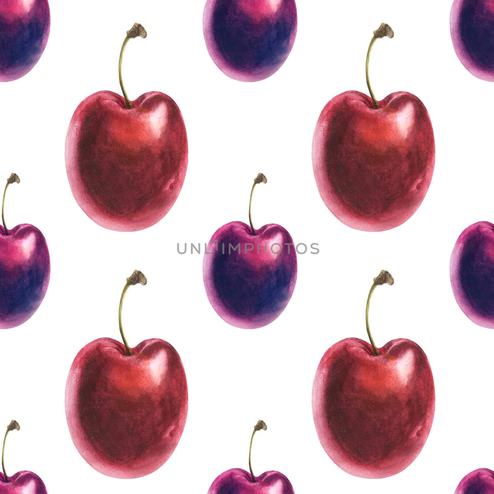 Watercolor illustration. Fresh cherry plums on a white background. Isolated, path included
