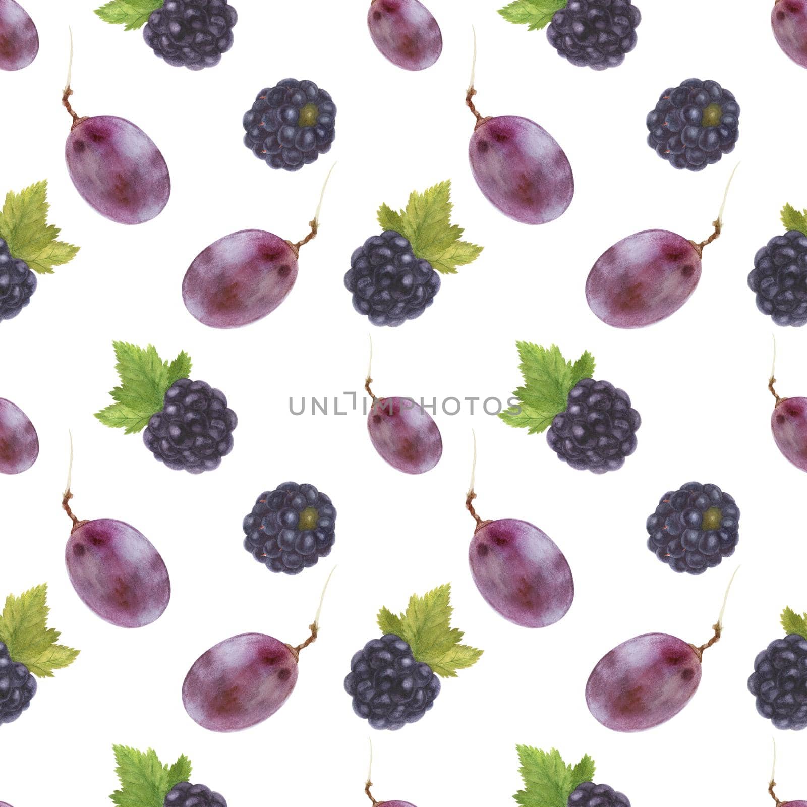Modern watercolor botanical illustration. Blackberry and grape . Seamless pattern, white backdrop, path included