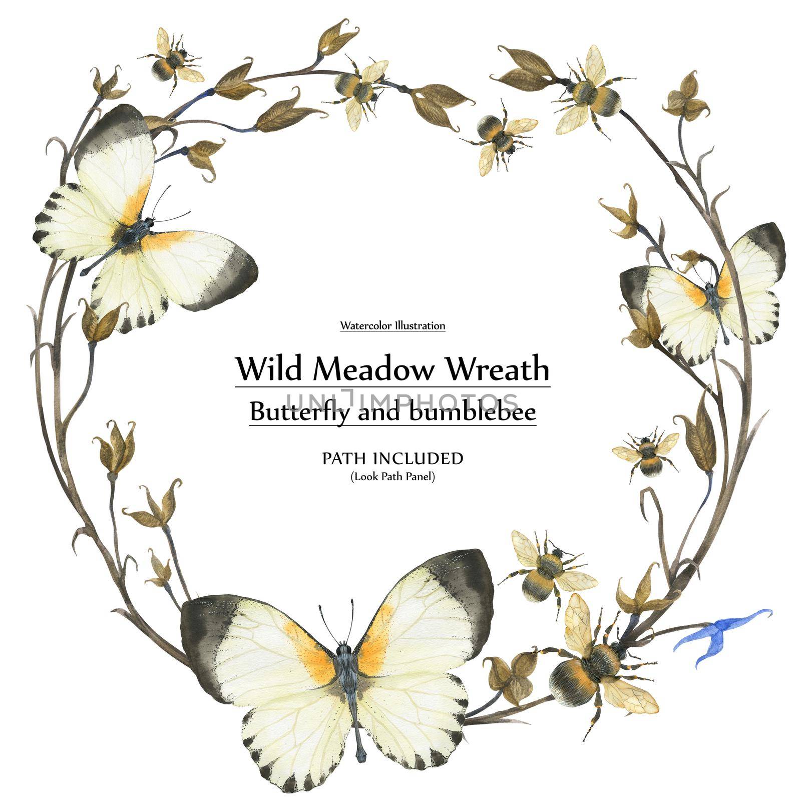 Nature design by watercolor. Butterflies and plants wreath. isolated, path included