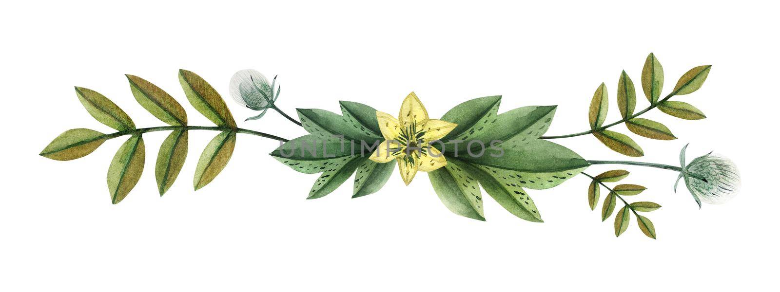 Wild Plants hand painted watercolor headline or ending vingettes. Flowers and branches and leaves on a white background. Isolated, path included.