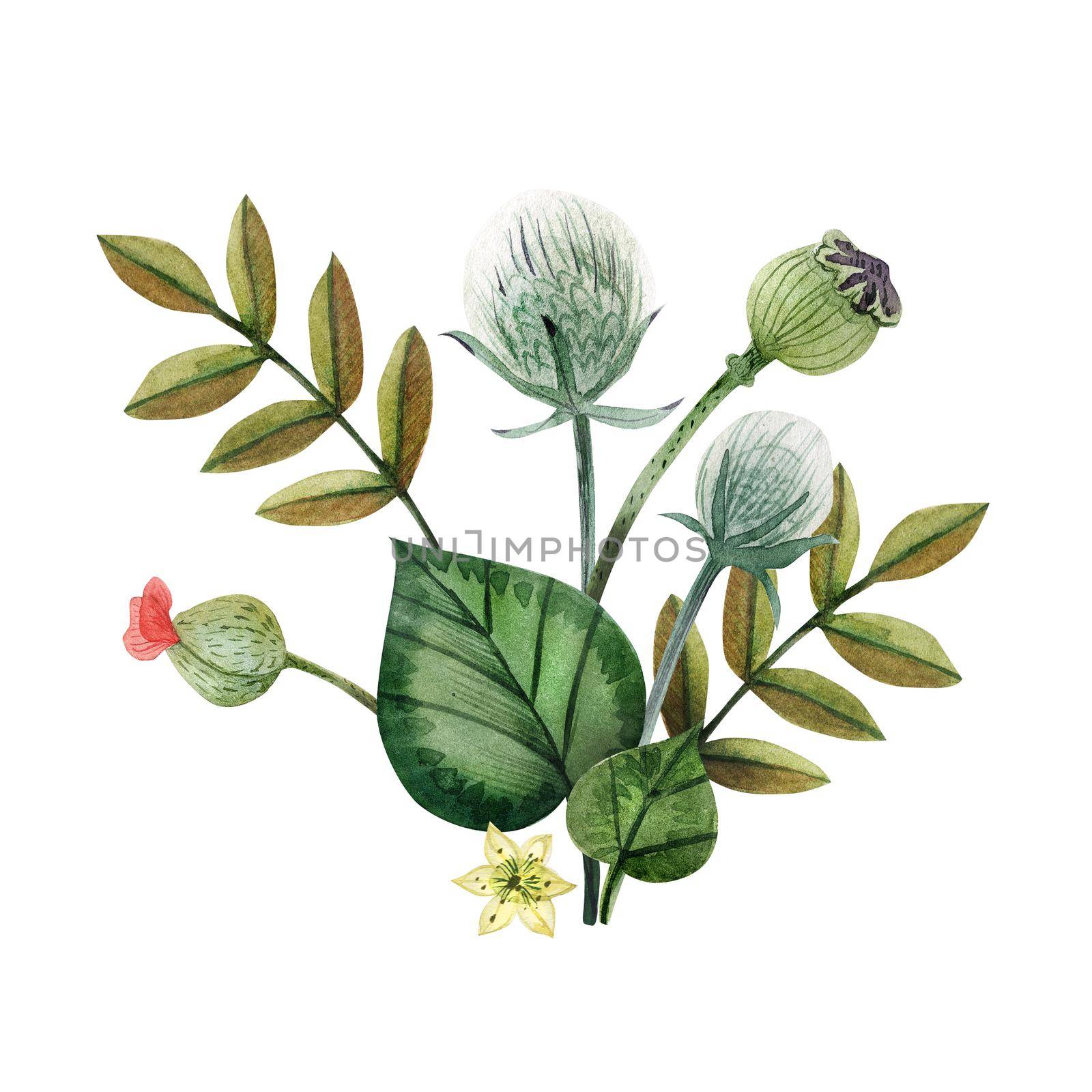 Wild plants and grass hand painted watercolor boutonniere. Flowers and branches and leaves on a white background. Isolated, path included.