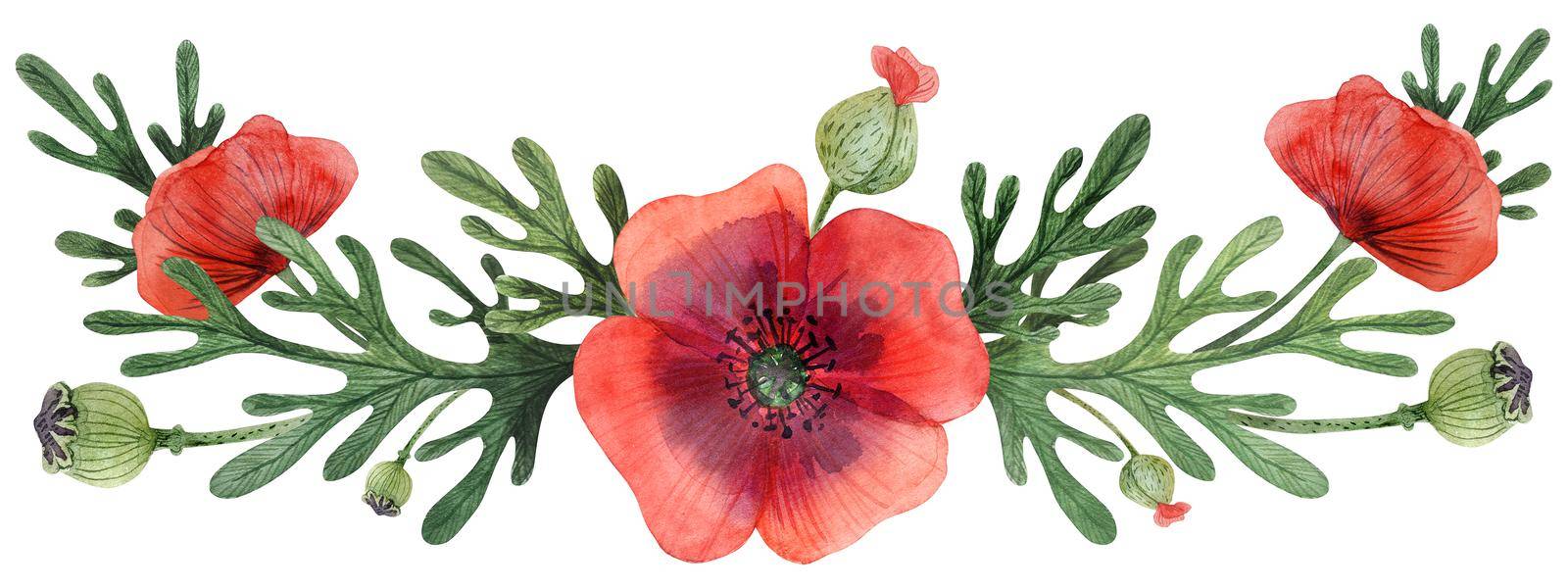 Wild Poppies hand painted watercolor headline or ending vingettes by Xeniasnowstorm