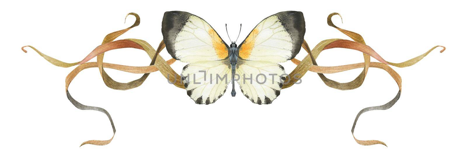 Nature design by watercolor. Butterfly Appias and plant vignette. Isolated, path included