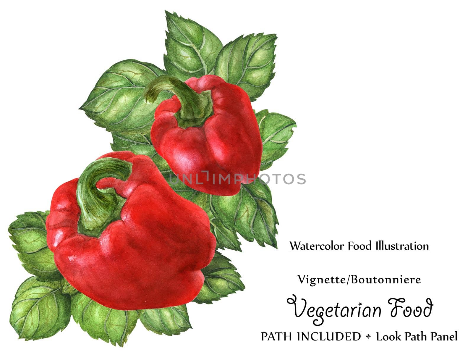 Watercolor vegan vignette biutonniere by freshness green basil leaves and bell peppers. Isolated, clipping path included, vegan design