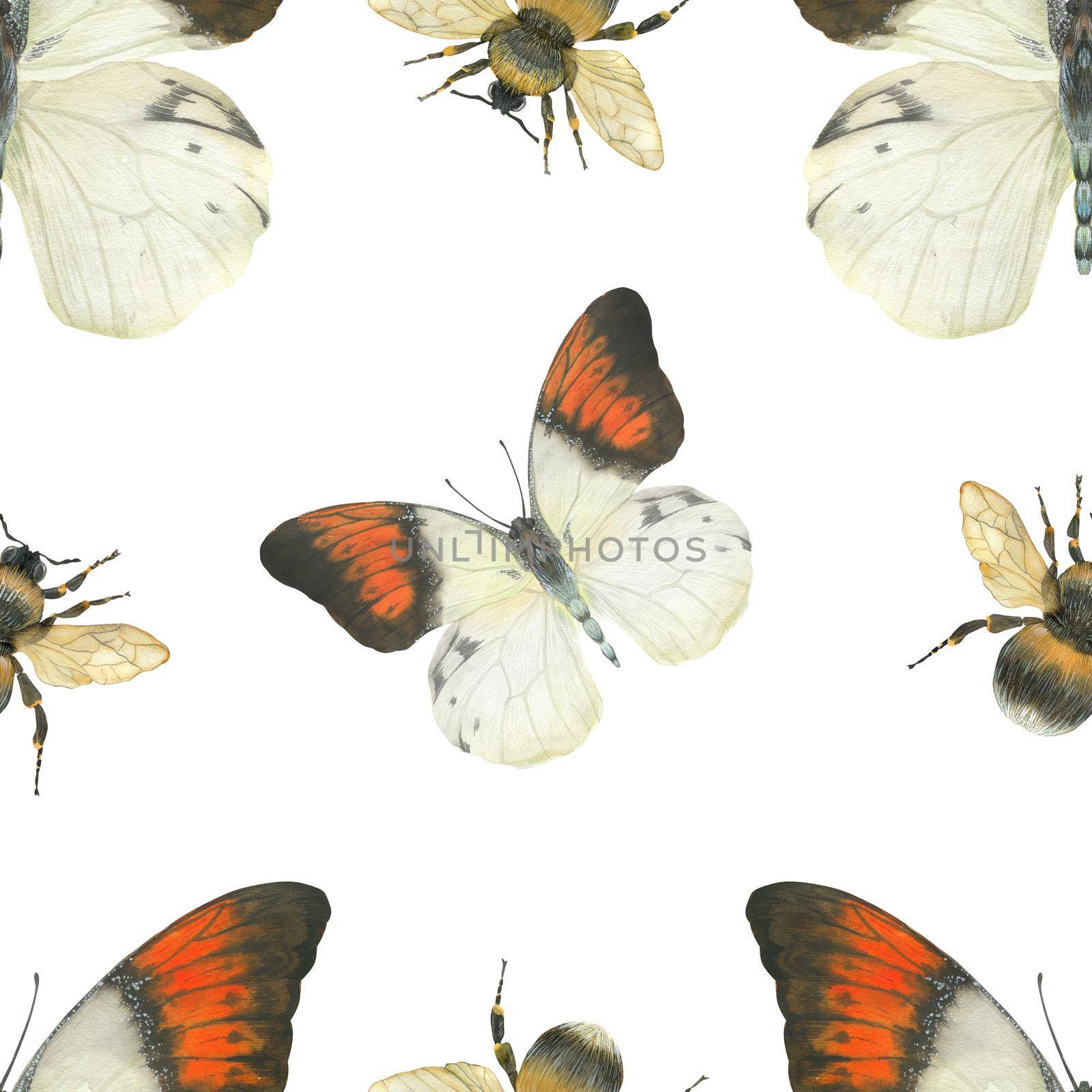 Watercolor seamless pattern Hebomoia butterfly. Realistic style, insects on a white background, path included