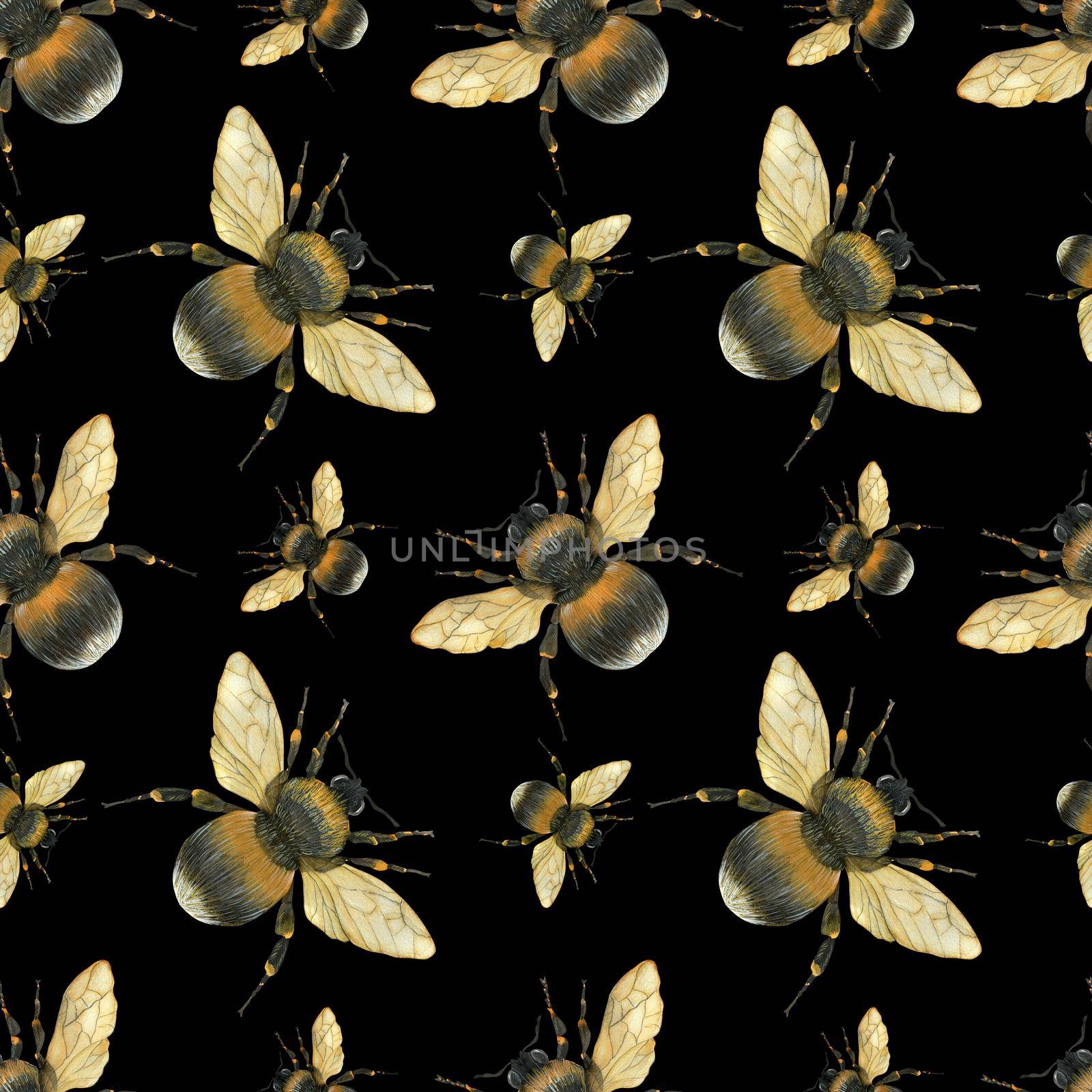 Watercolor seamless pattern Fat Fluffy Bumblebees. Realistic style, insects on a black background, path included