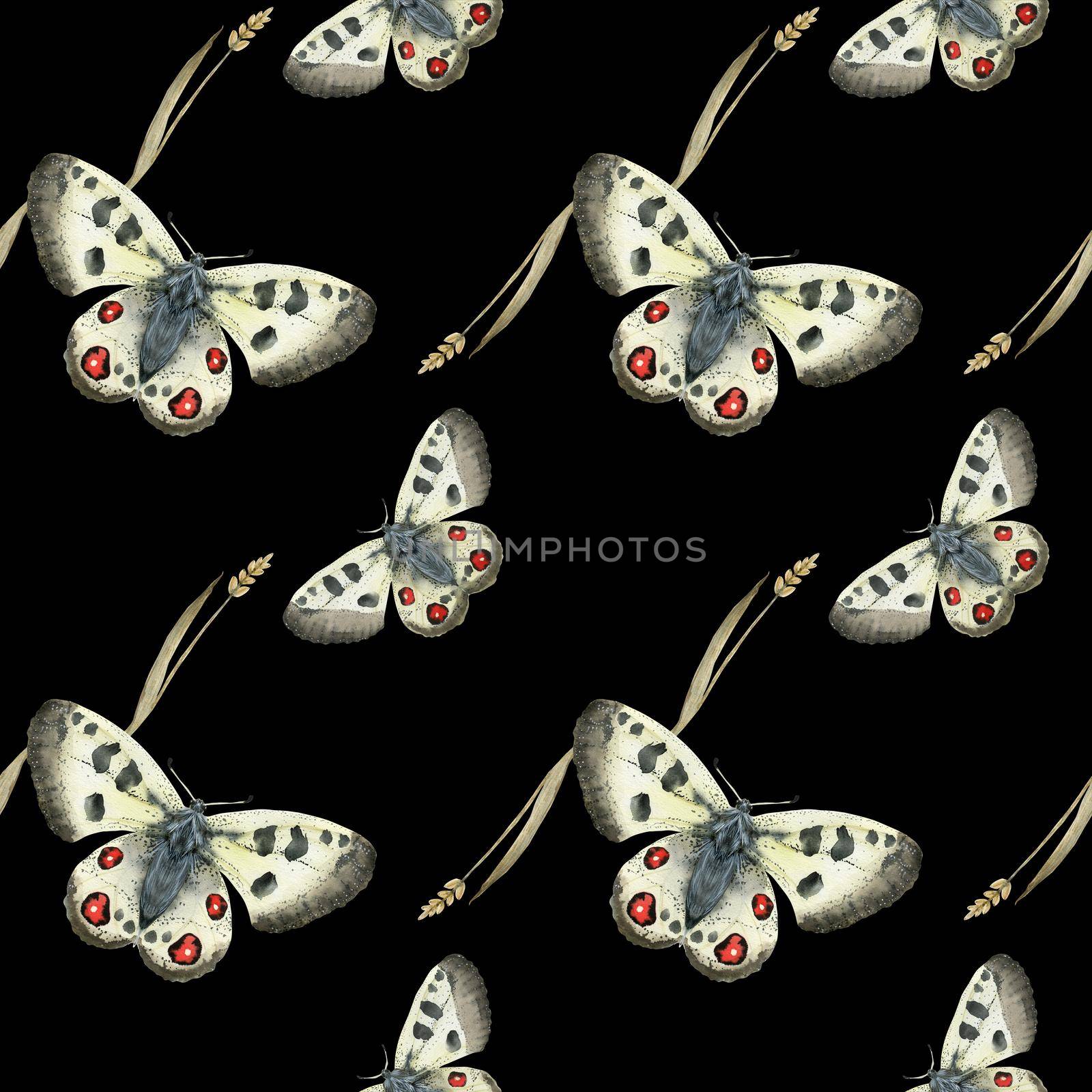 Watercolor seamless pattern Apollo butterfly and grass plant. Realistic style, black background, path included