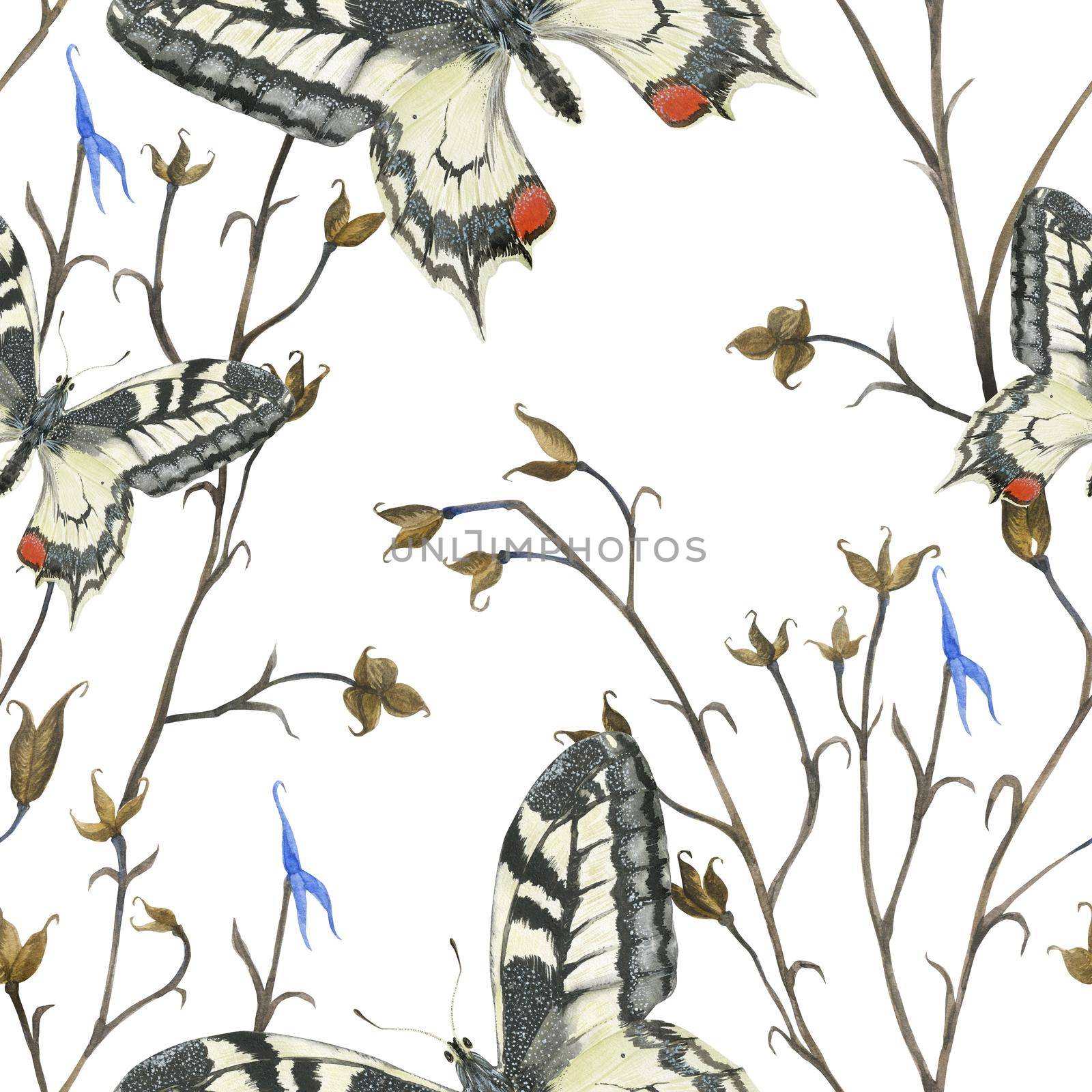 Watercolor seamless pattern Machaon butterfly and Aconitum plant. Realistic style, white background, path included