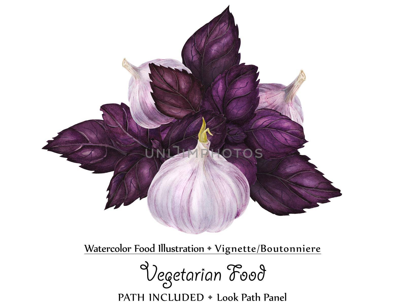 Watercolor vegan vignette biutonniere by freshness purple basil and garlic. Isolated, clipping path included, vegan design