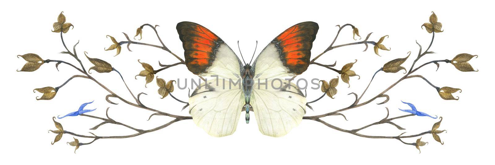 Nature design by watercolor. Butterfly Hebomoia and plant vignette. Isolated, path included