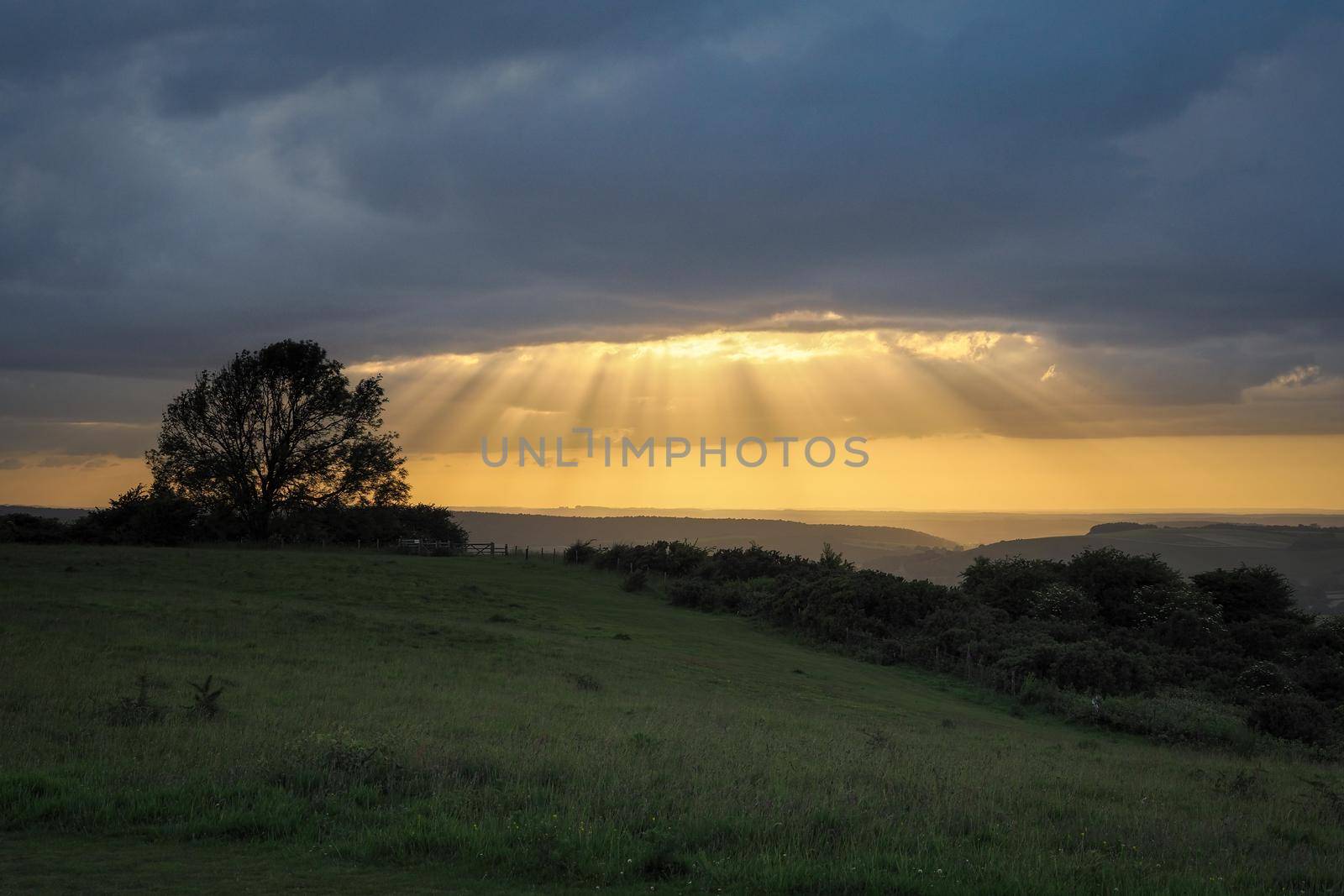 Sunbeams stream down on Butser Hill, the highest point on South Downs, Hampshire by PhilHarland