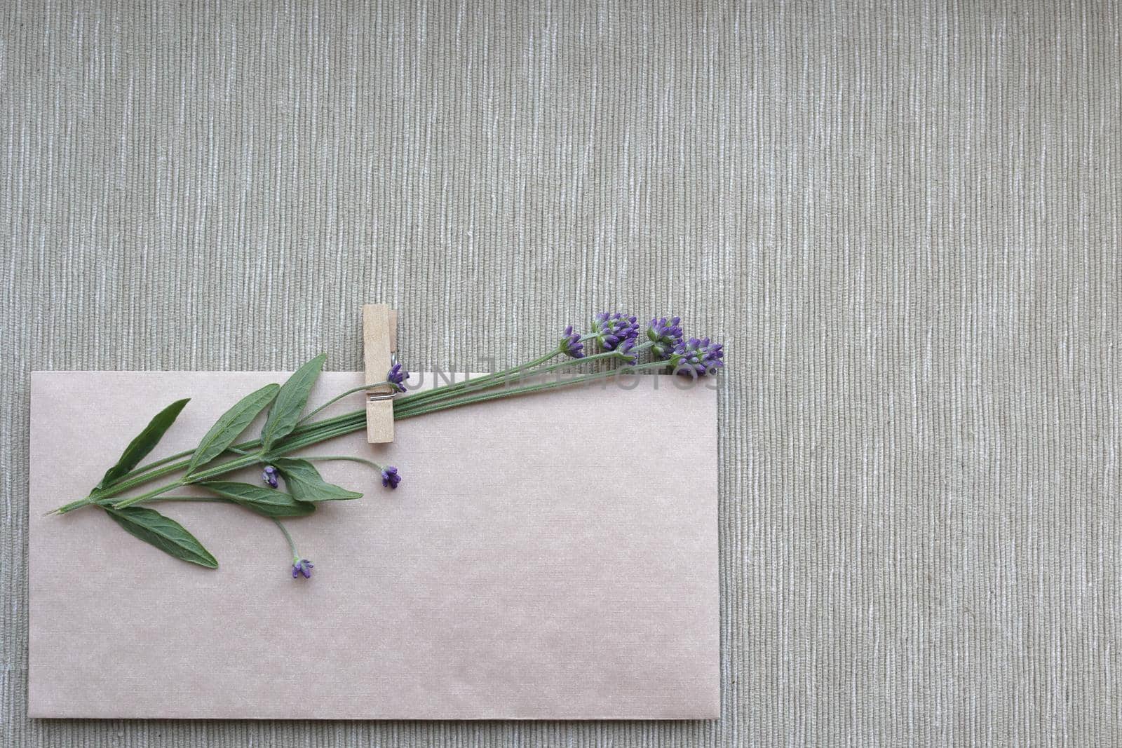 small bouquet of dry lavender on a vintage-style craft envelope. Happy Birthday, Valentine's day, wedding, Mother's Day greeting card concept. copy space by Proxima13