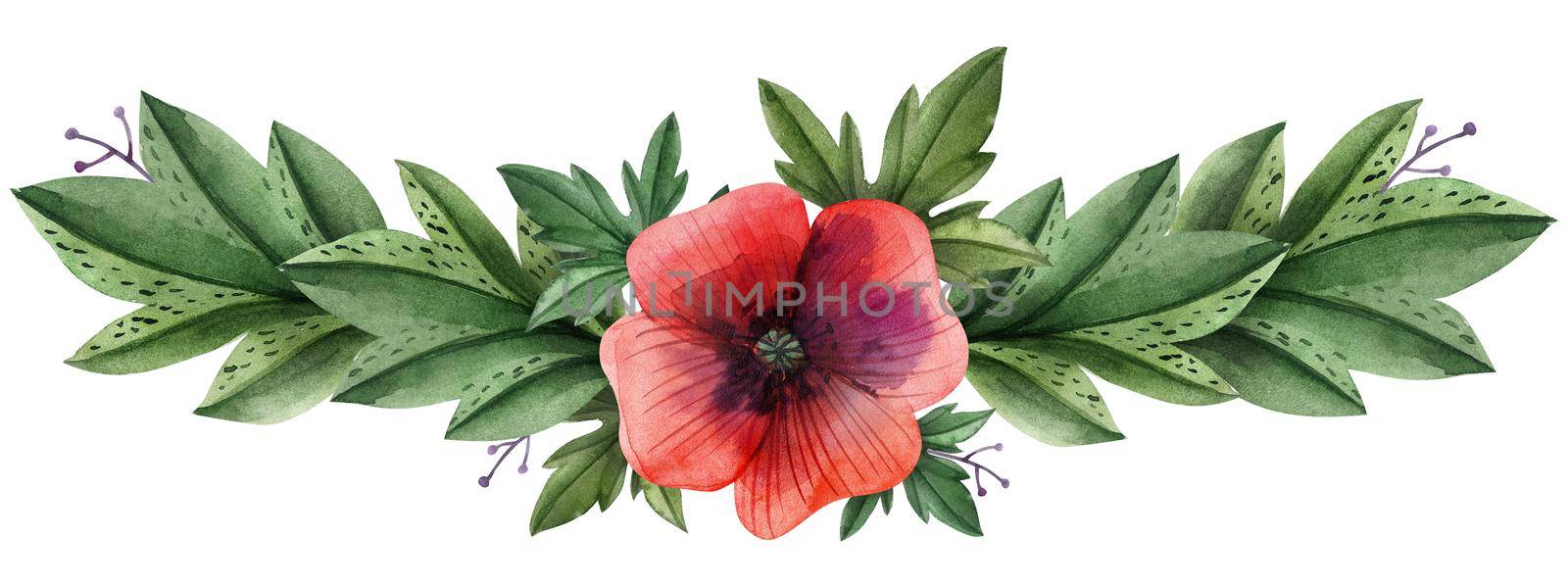 Wild Poppies hand painted watercolor headline or ending vingettes by Xeniasnowstorm