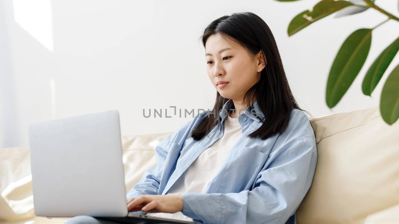 Smiling young asian female freelancer working from home, sitting on couch, using laptop, copy space. Relaxed korean young woman enjoying her weekend, surfing on internet on laptop. Web banner.