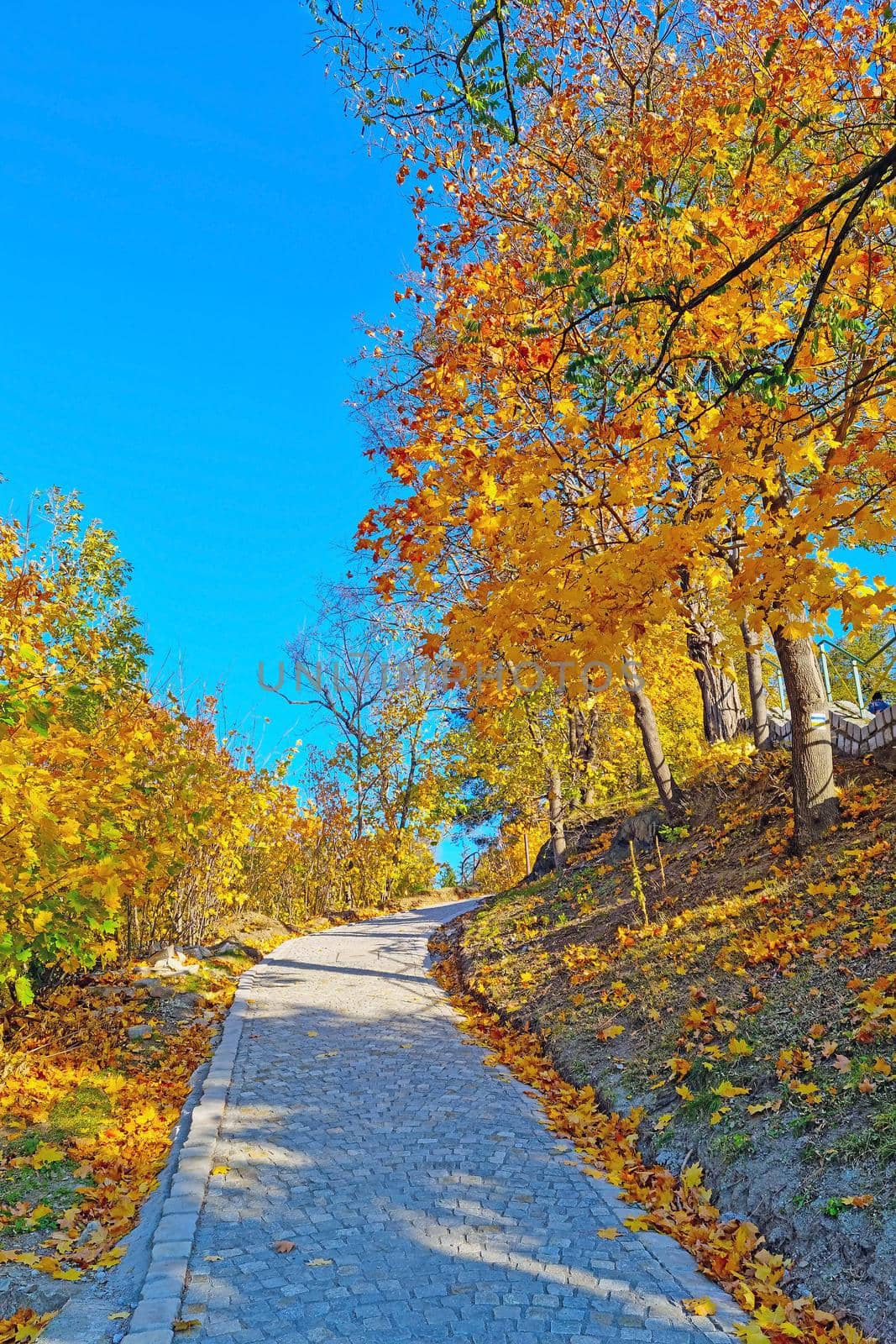 A beautiful scenic trail in the park for a stroll on a sunny autumn day