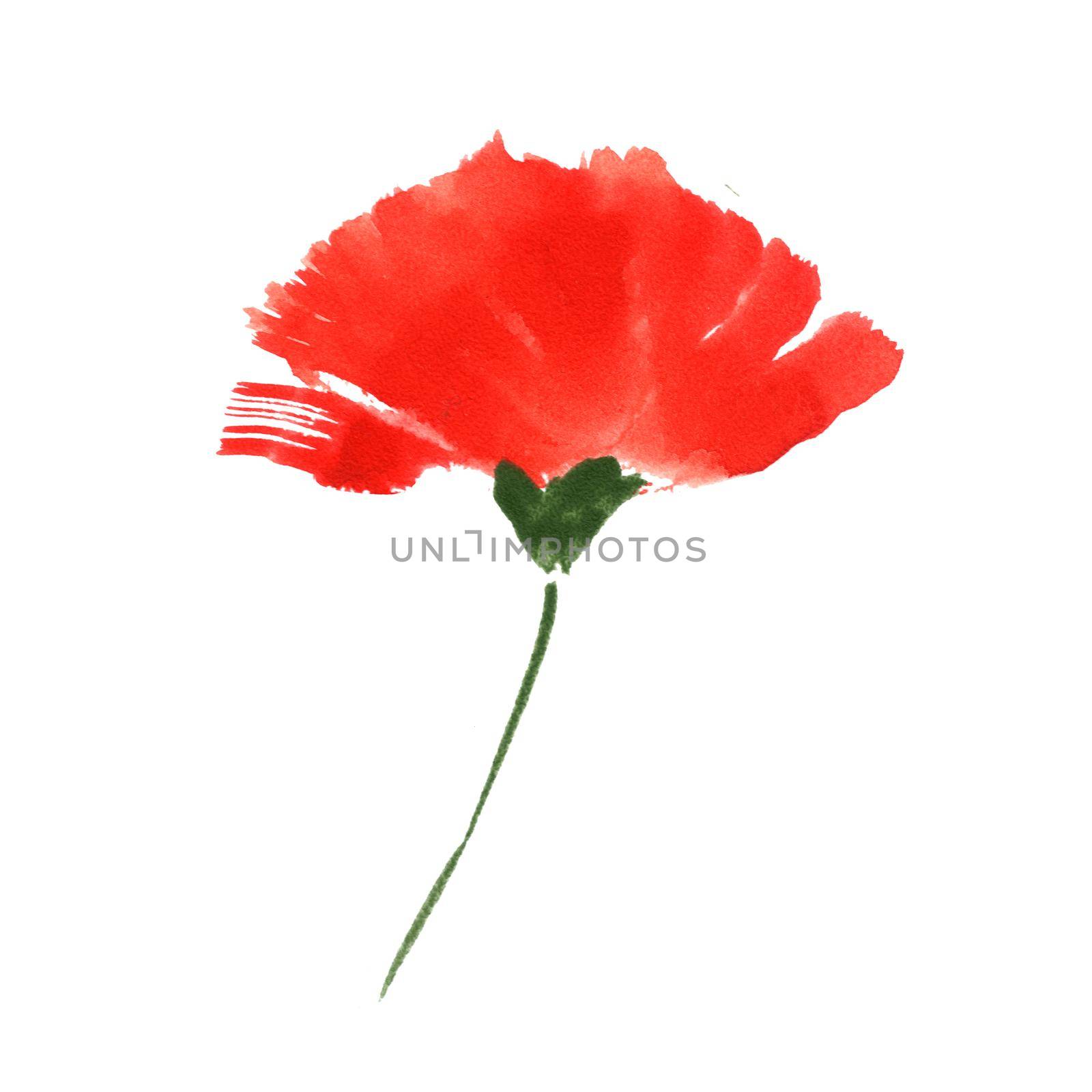 One-stroke watercolor illustration. Remembrance Poppy, symbol of 11 November. White background, path included