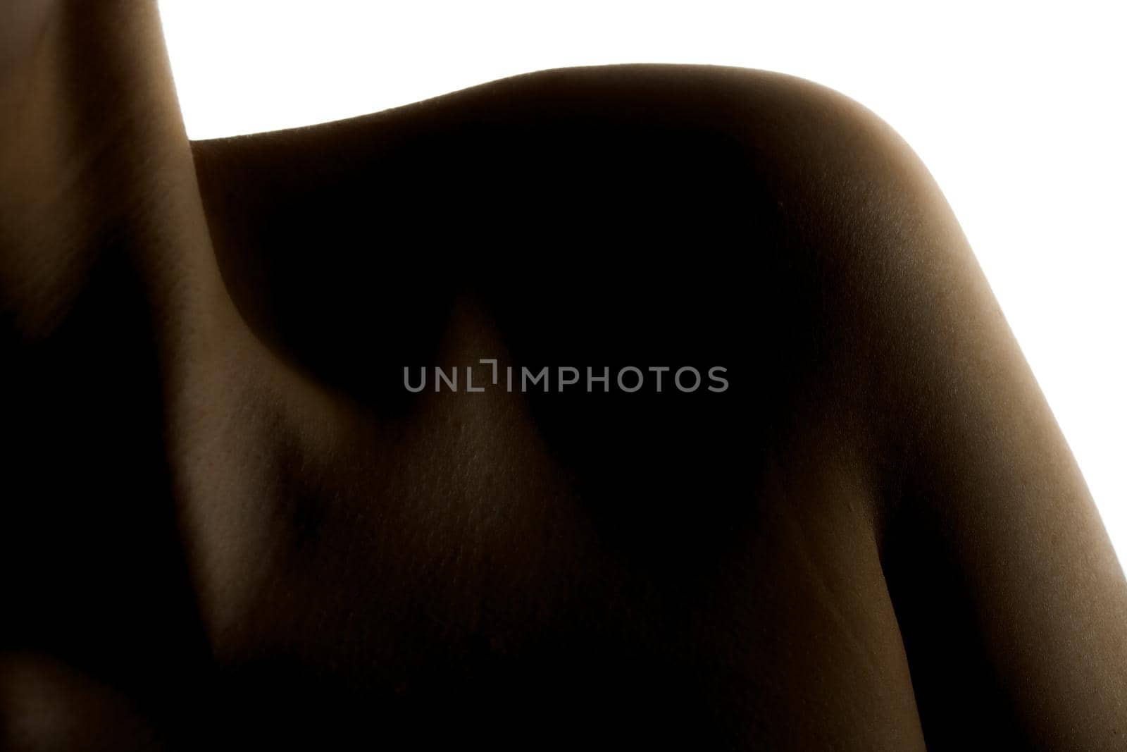 Silhouette abstract bodu shot of a beautiful girl against white background. Neck and shoulder in shadows.
