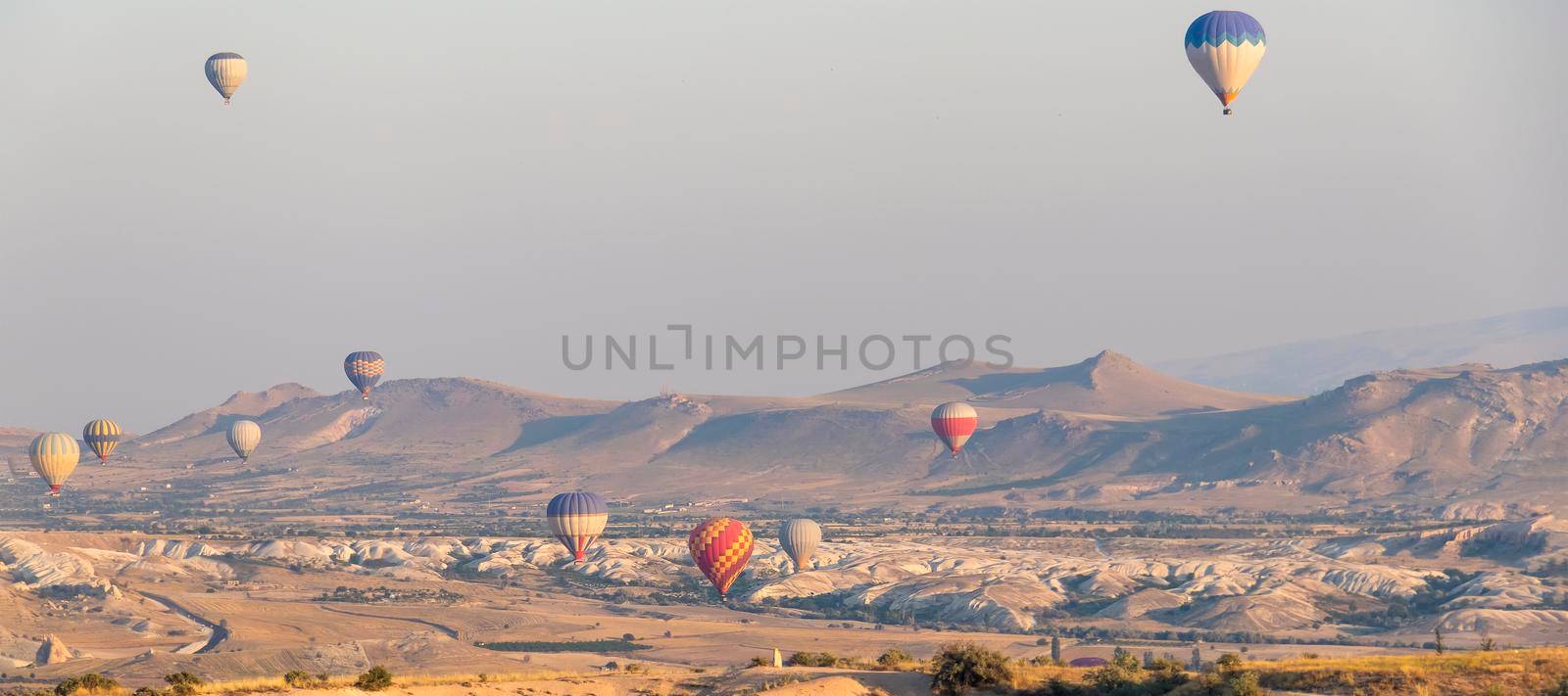 banner with many hot air balloons in the sky over a valley in Cappadocia, Nevsehir, Turkey in a beautiful summer day by Leoschka