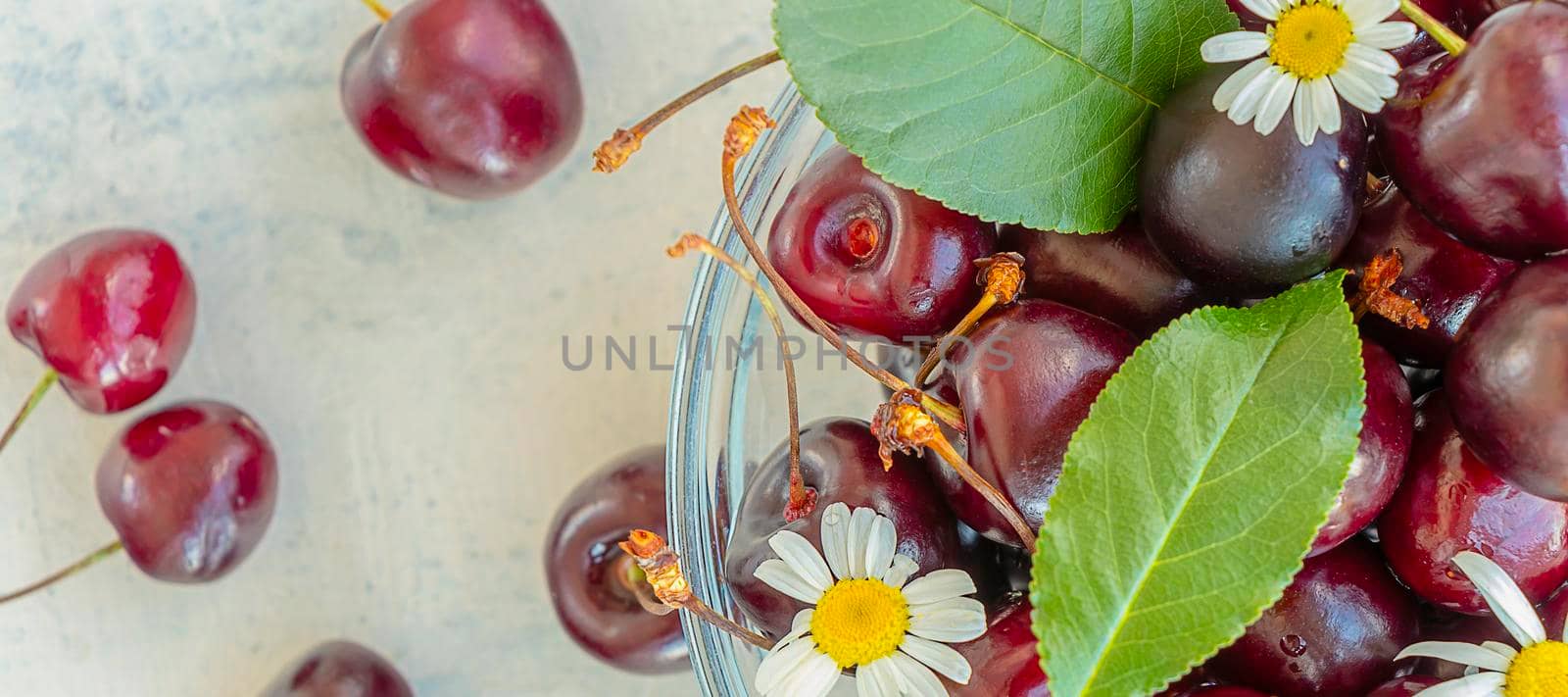 banner with sweet juicy cherries on white textured background. flat lay of cherry and chamomile. Summer healthy sweets concept. top view by Leoschka