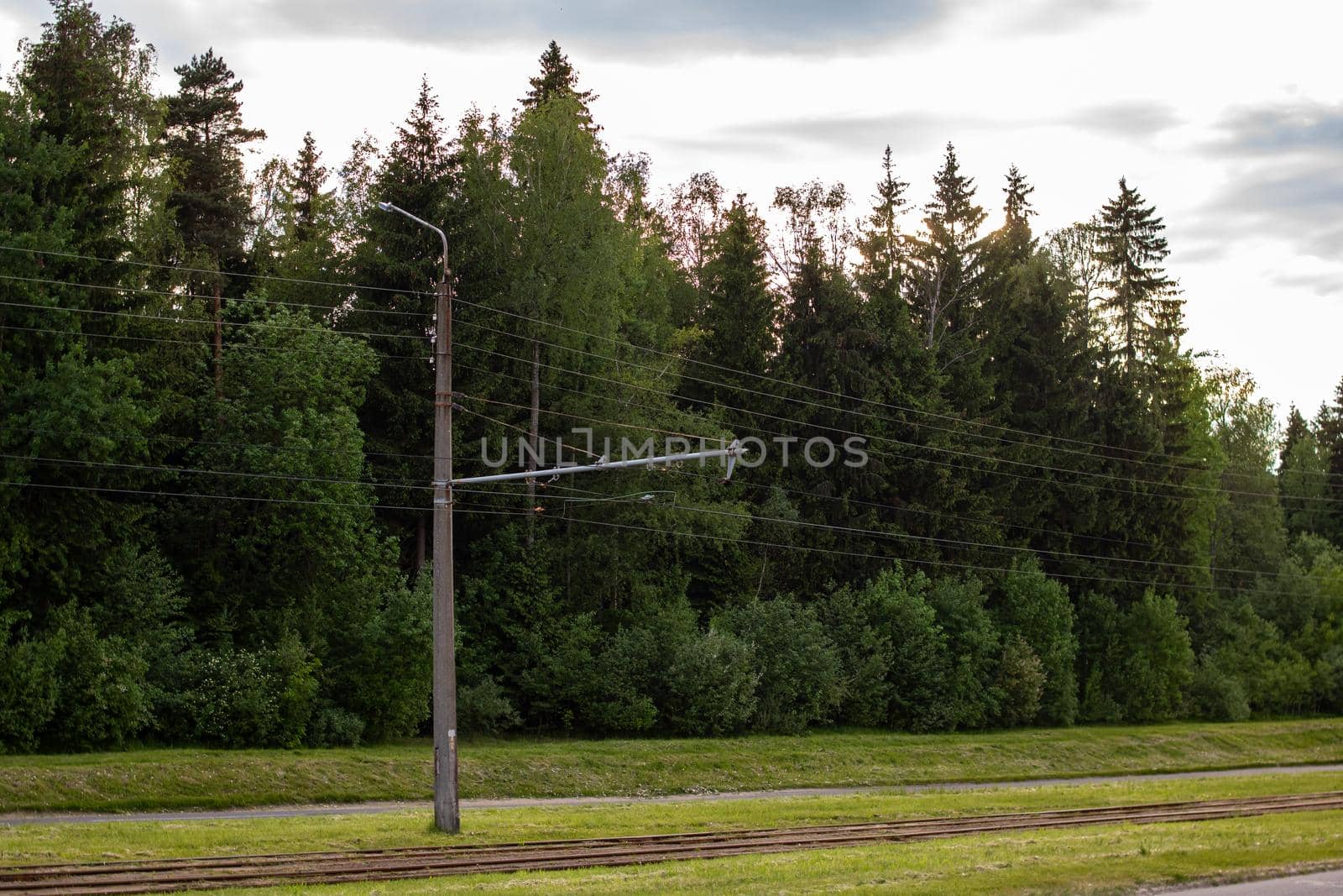 Tram track rails among green grass close up