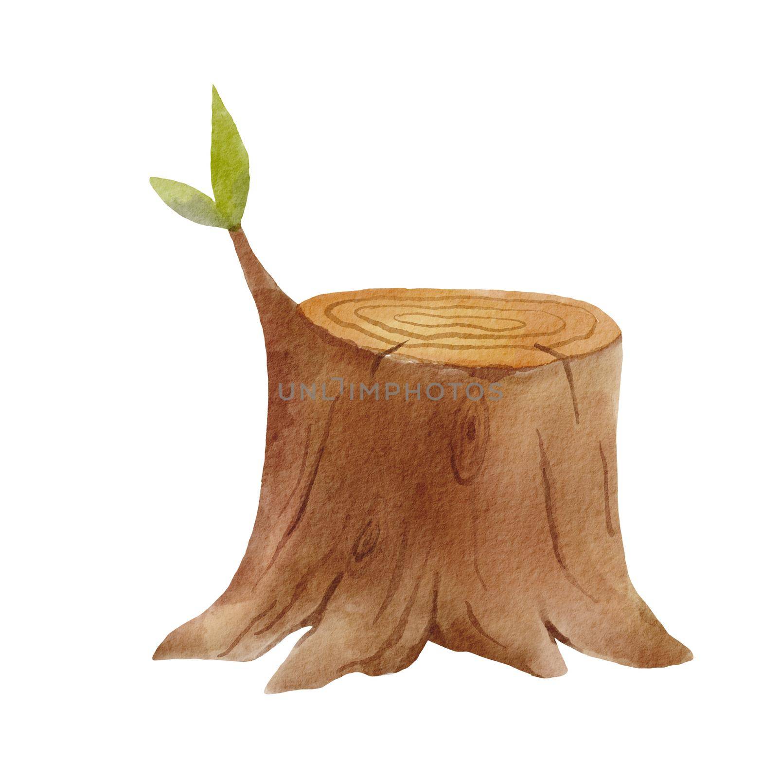 Stump with green leaf. Watercolor piece of wood. Drawing cartoon Isolated on white background.