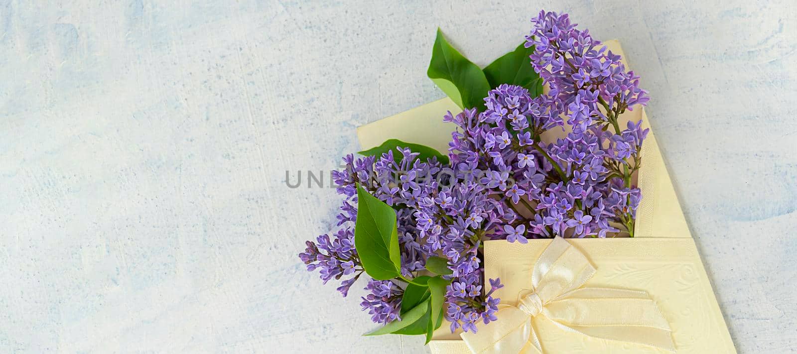 banner with Very Peri color lilac flowers in festive envelope with bow on textured background. the concept of summer, spring, nature bloom, holiday and congratulations. copy space. flat lay. top view