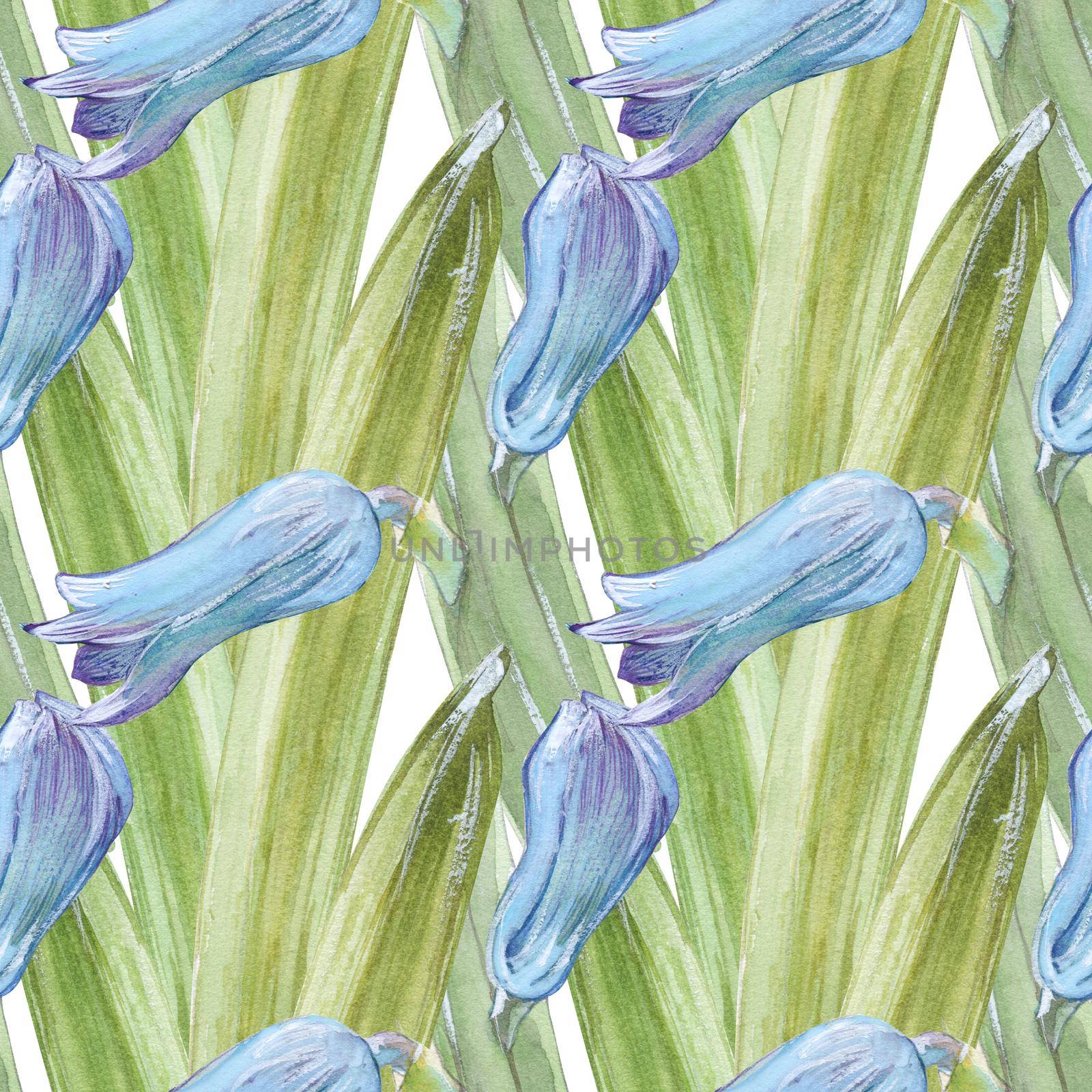 Watercolor seamless pattern with hyacinth buds on a white background