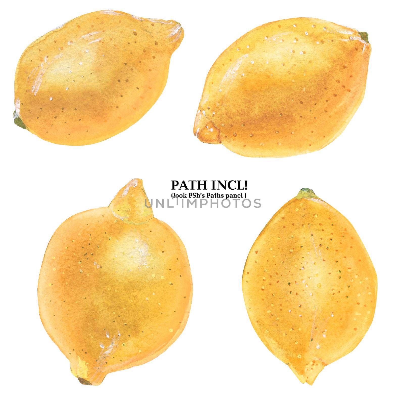 Botanical Watercolor Isolated Lemons. Path included