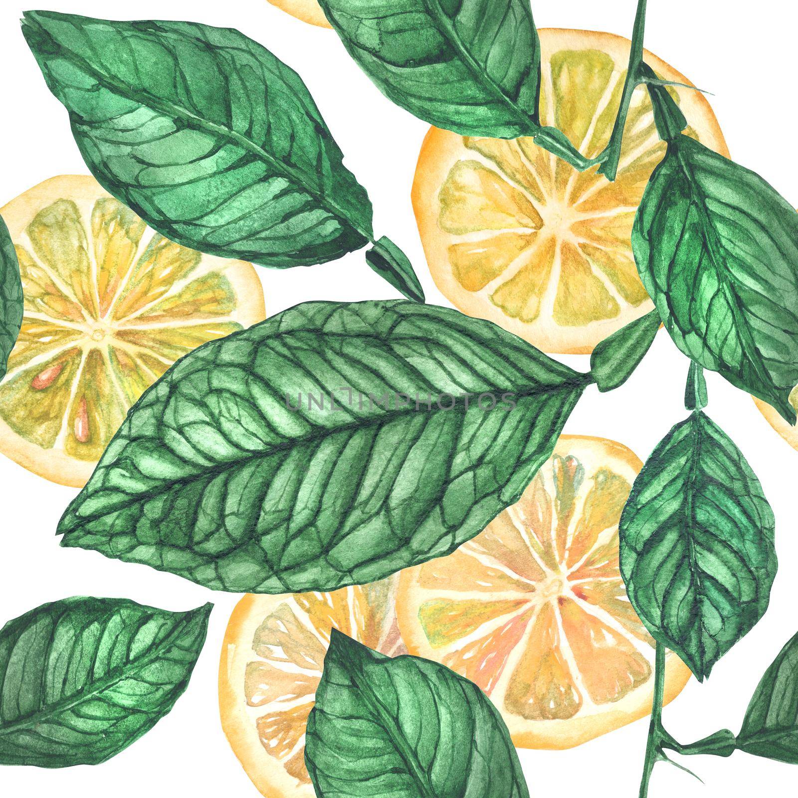 Watercolor Botanical Lemon Slices Seamless Pattern