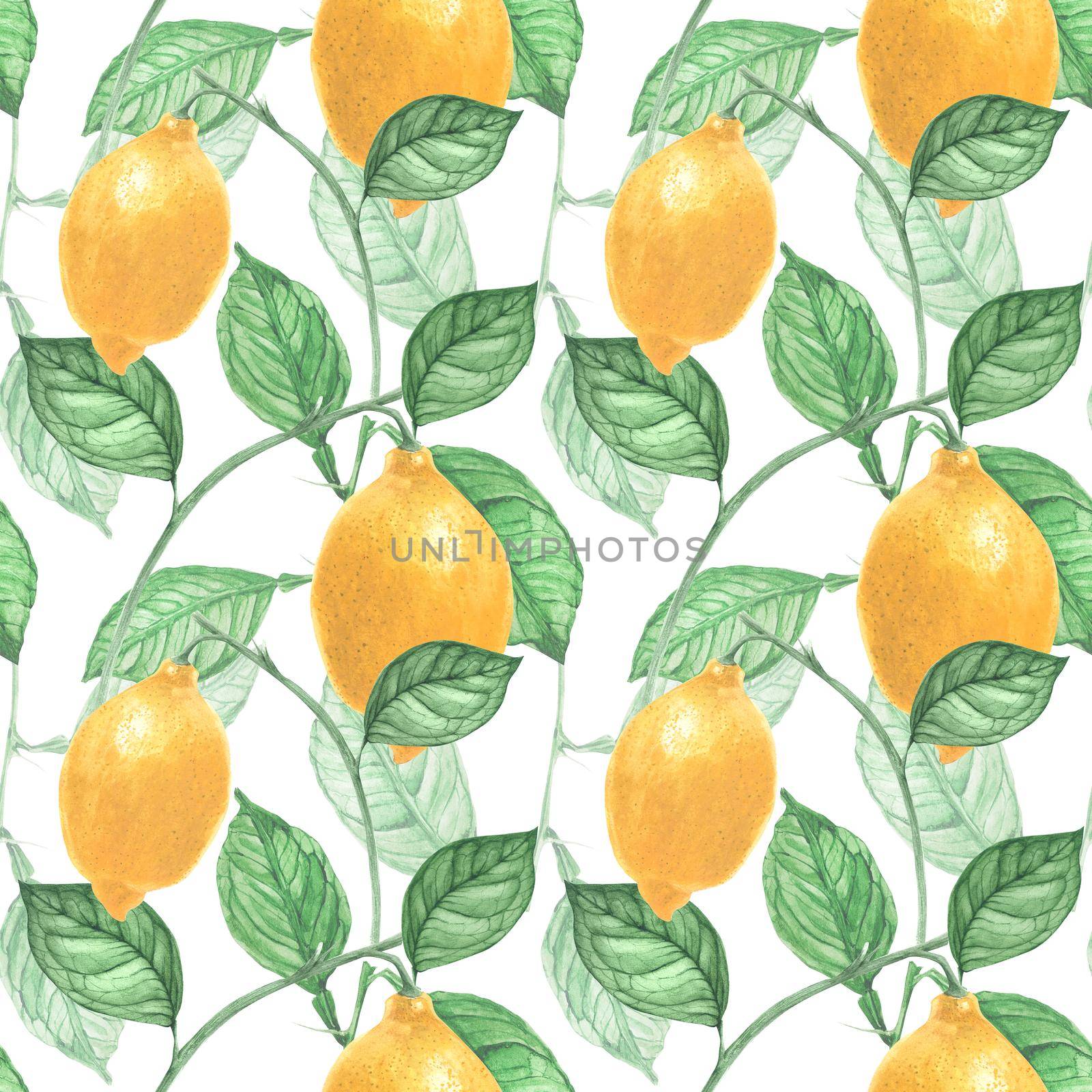 Watercolor Light Botanical Victorian Lemon Seamless Pattern
