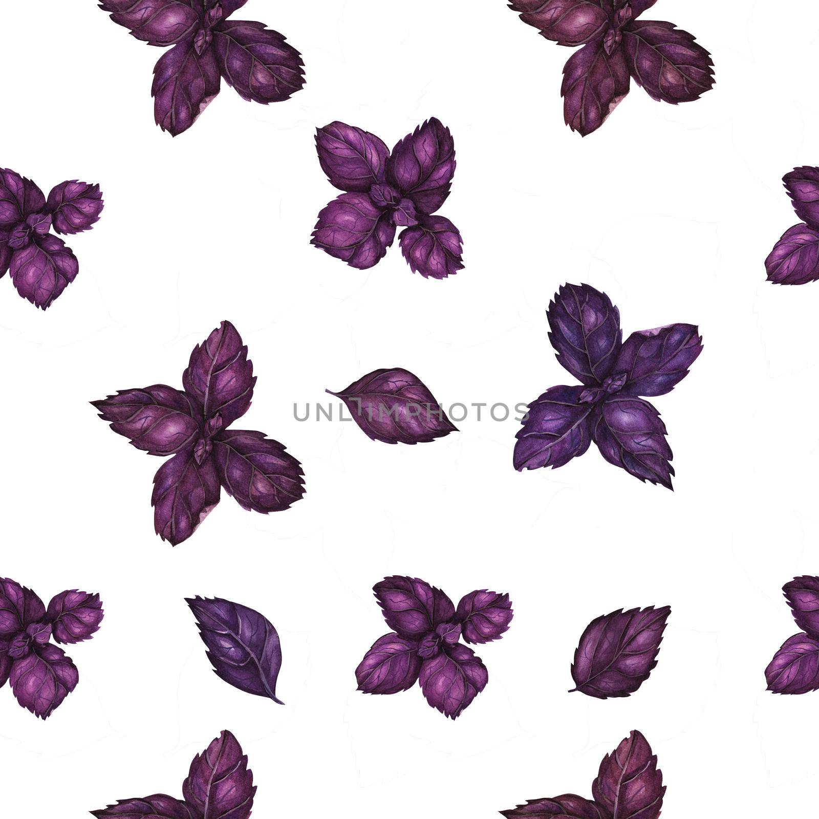Vegan watercolor seamless pattern with purple basil branches. White background, isolated, clipping path included