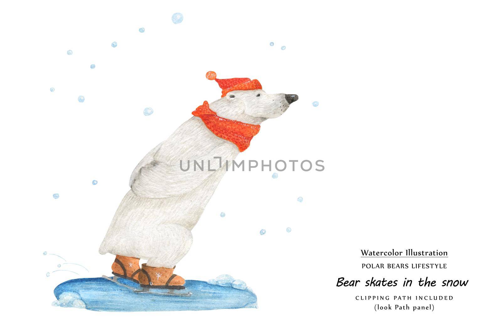Cute watercolor illustration Bear skate in the snow and Snow Ursa Minor in the sky. Isolated clipping path included