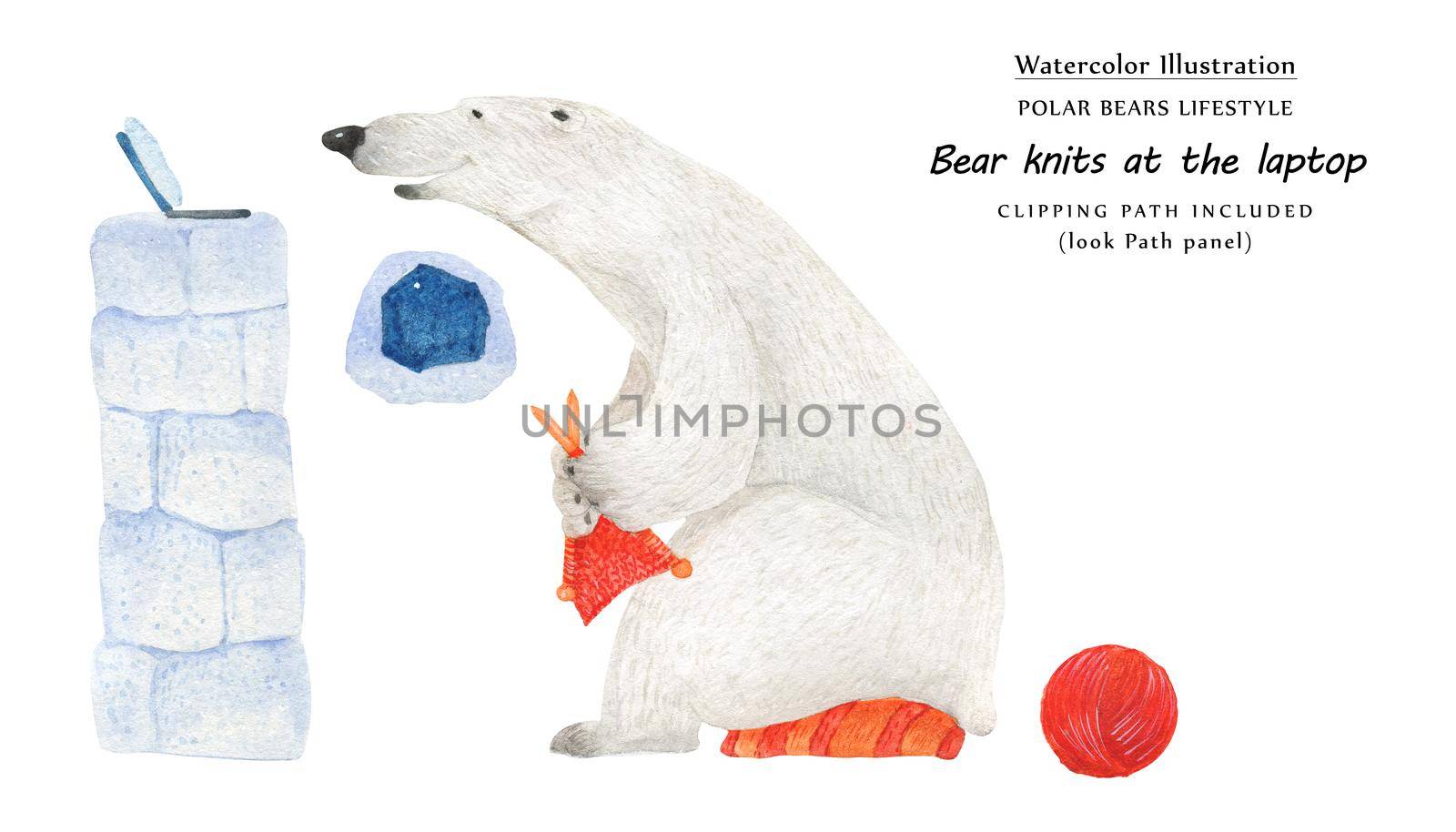 Cute watercolor illustration Bear knit at the laptop. Isolated clipping path included