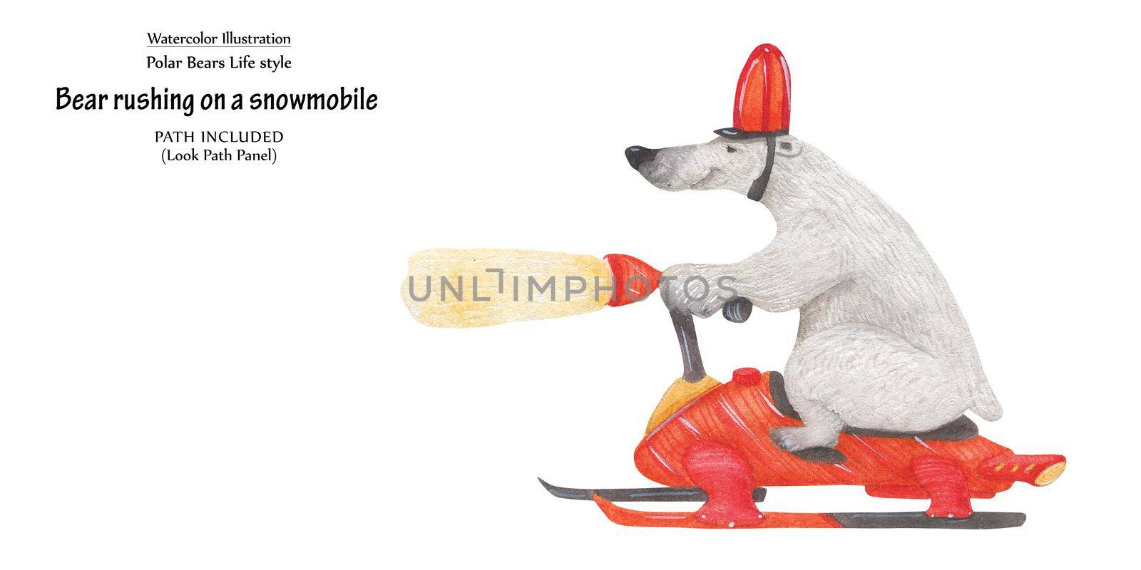 Cute watercolor illustration Bear rushing on a snowmobile. Isolated clipping path included