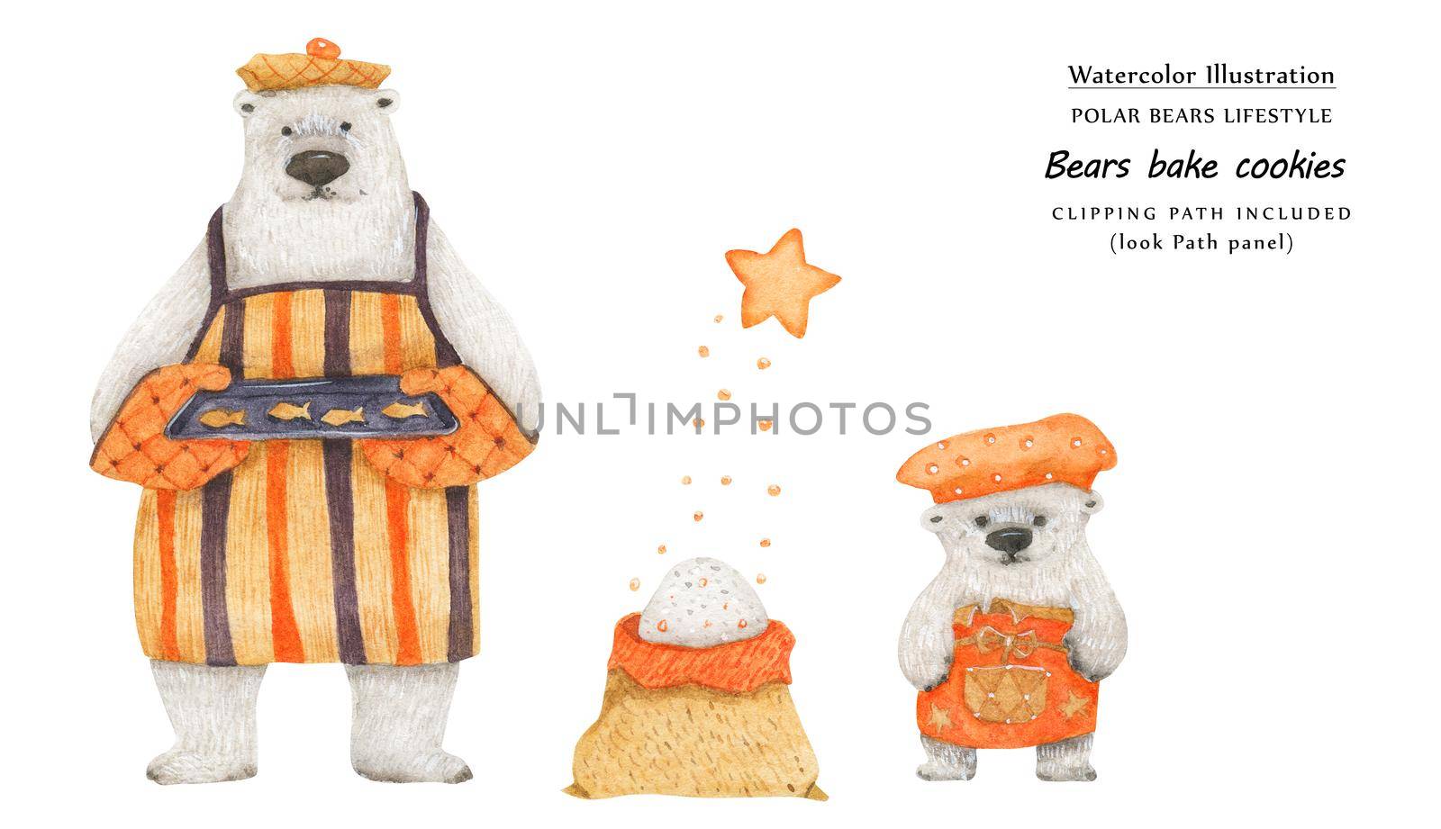 Cute watercolor illustration Father ans son bears bake sugar cookies. Isolated clipping path included