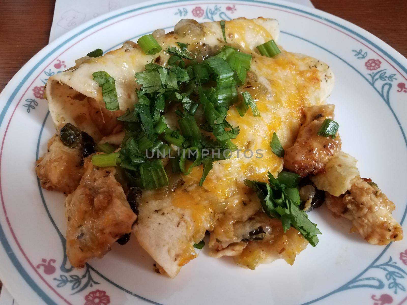 chicken enchilada with cheese and cilantro on plate Mexican food by stockphotofan1