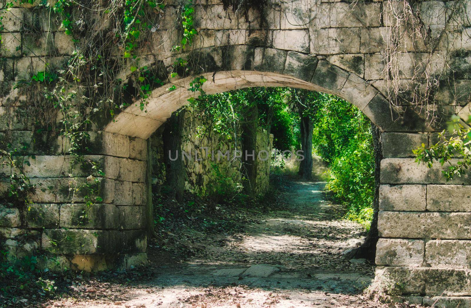 An old stone archway in the middle of a forest