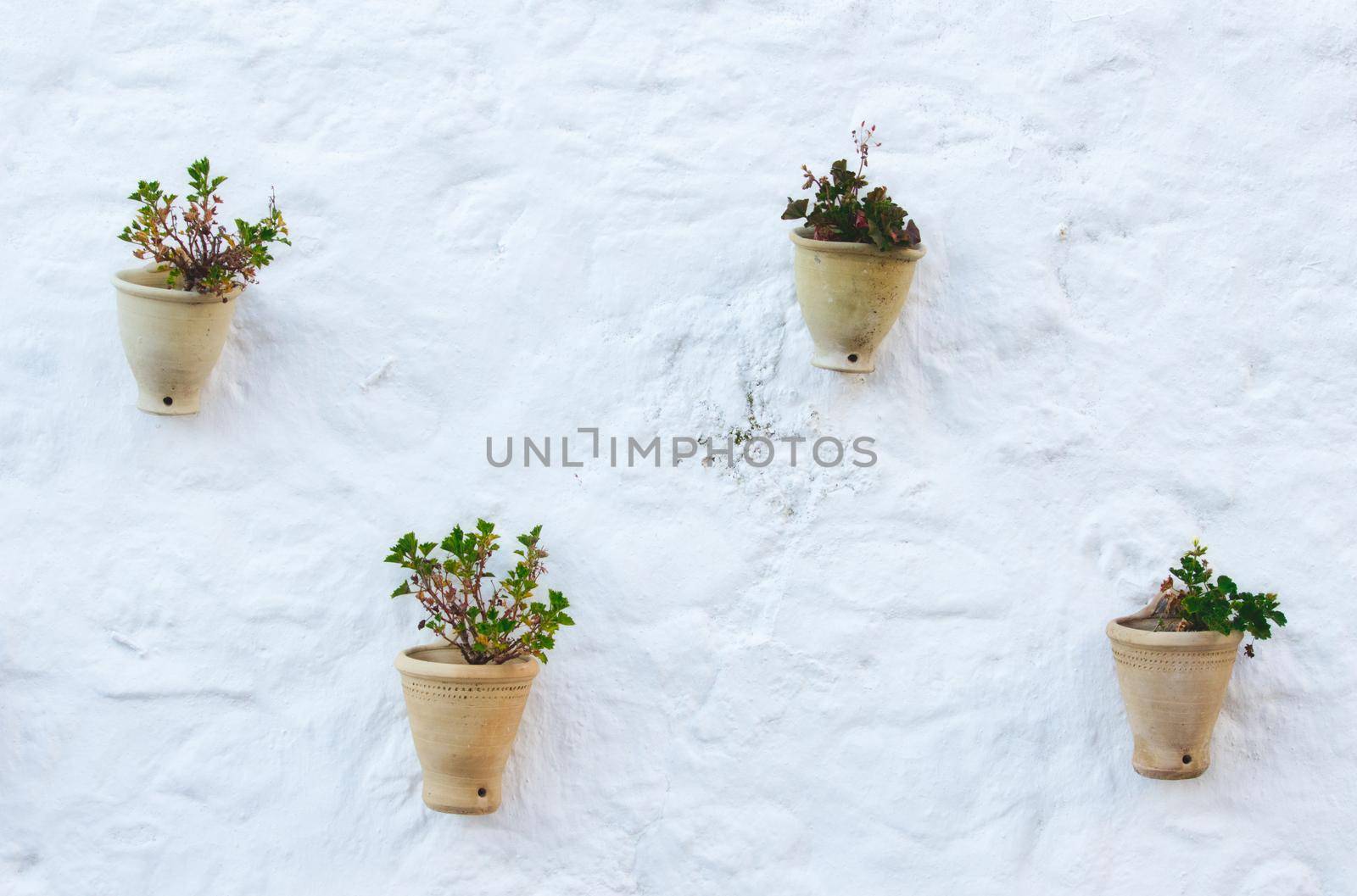 Traditional ceramic pot plants hanging on a white wall