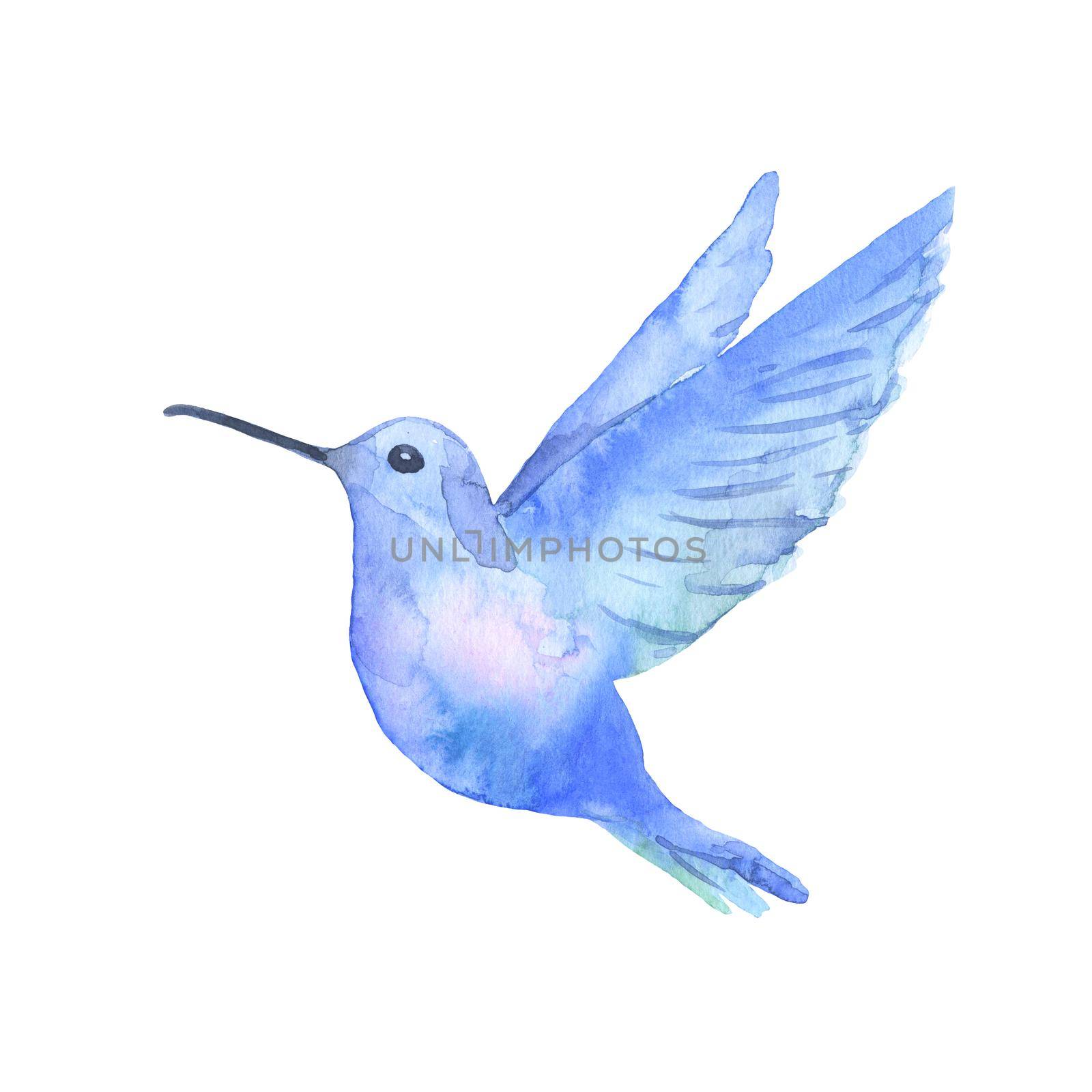 Watercolor tropical blue hummingbird isolated on a white background. A sketch.