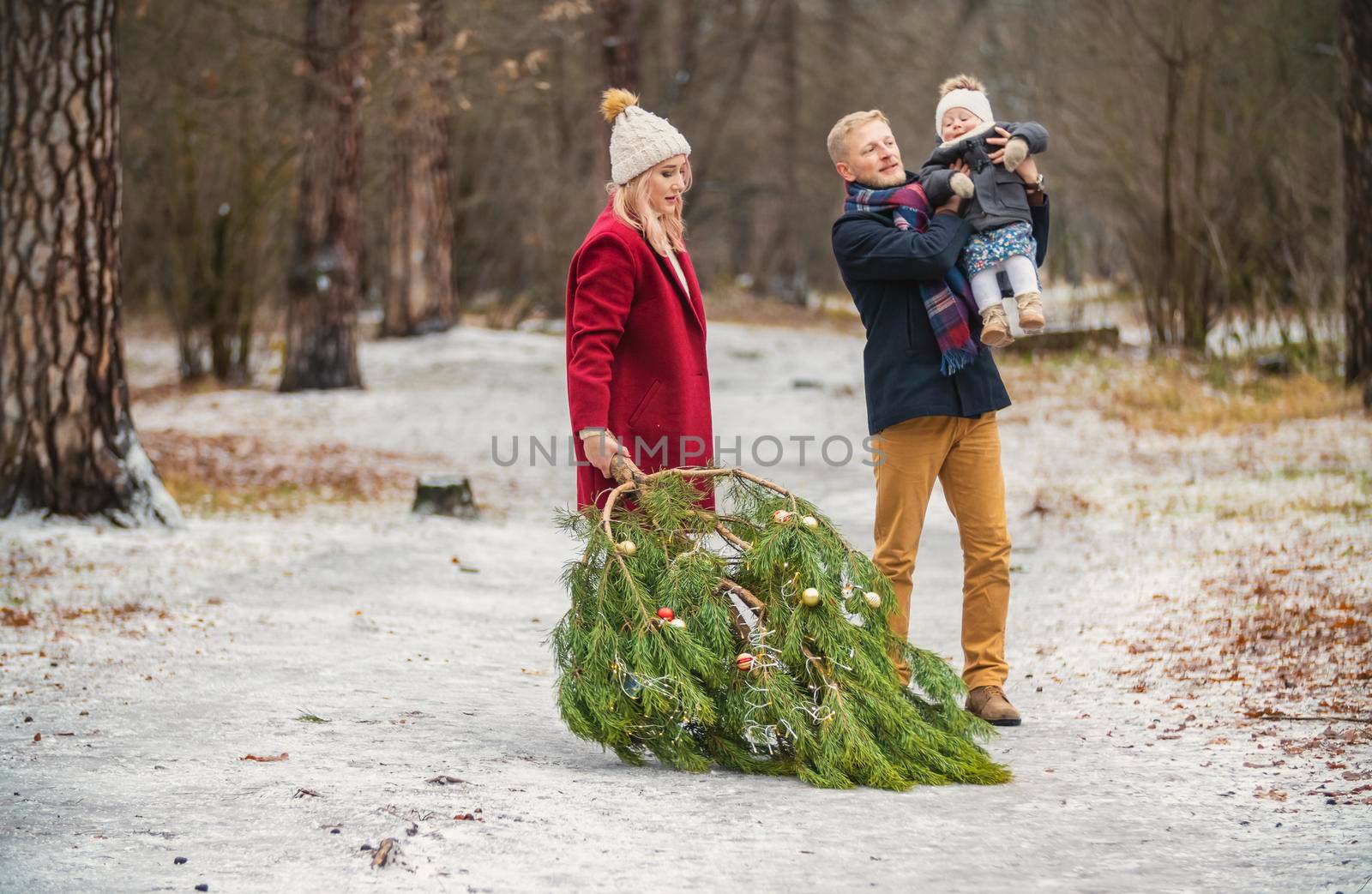 family carries christmas tree in winter park