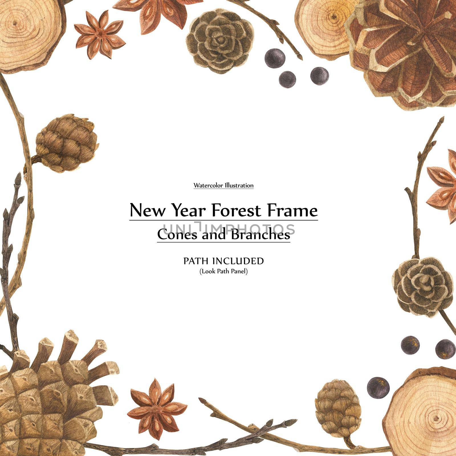New year design by watercolor. Cones and branches square frame. Isolated, path included