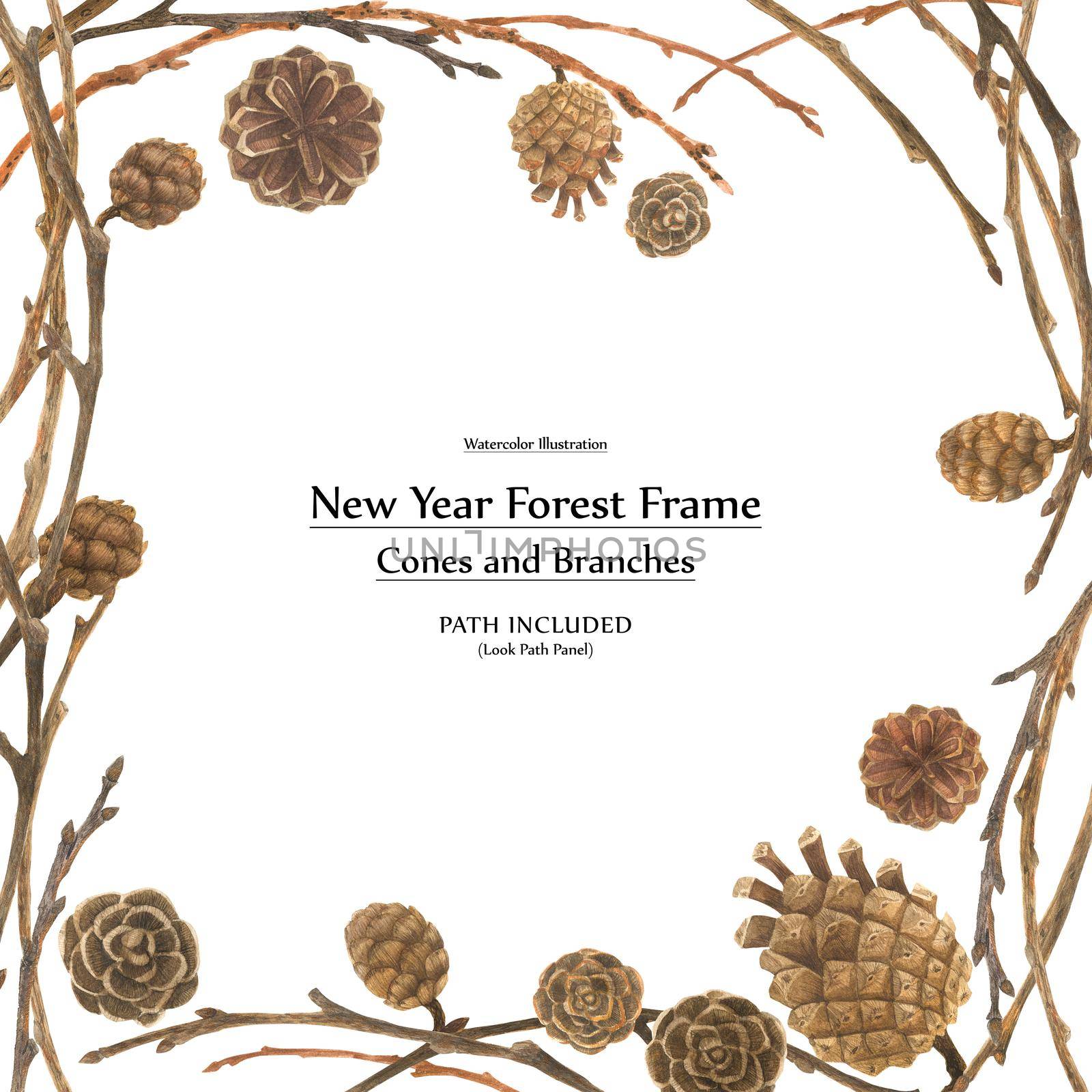New year design by watercolor. Cones and branches square frame. Isolated, path included