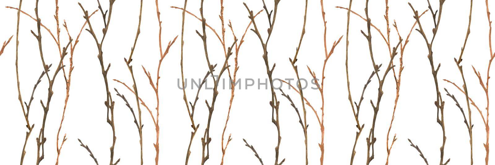 Botanical watercolor. Winter branches. Wood seamless pattern for Christmas textile and web design