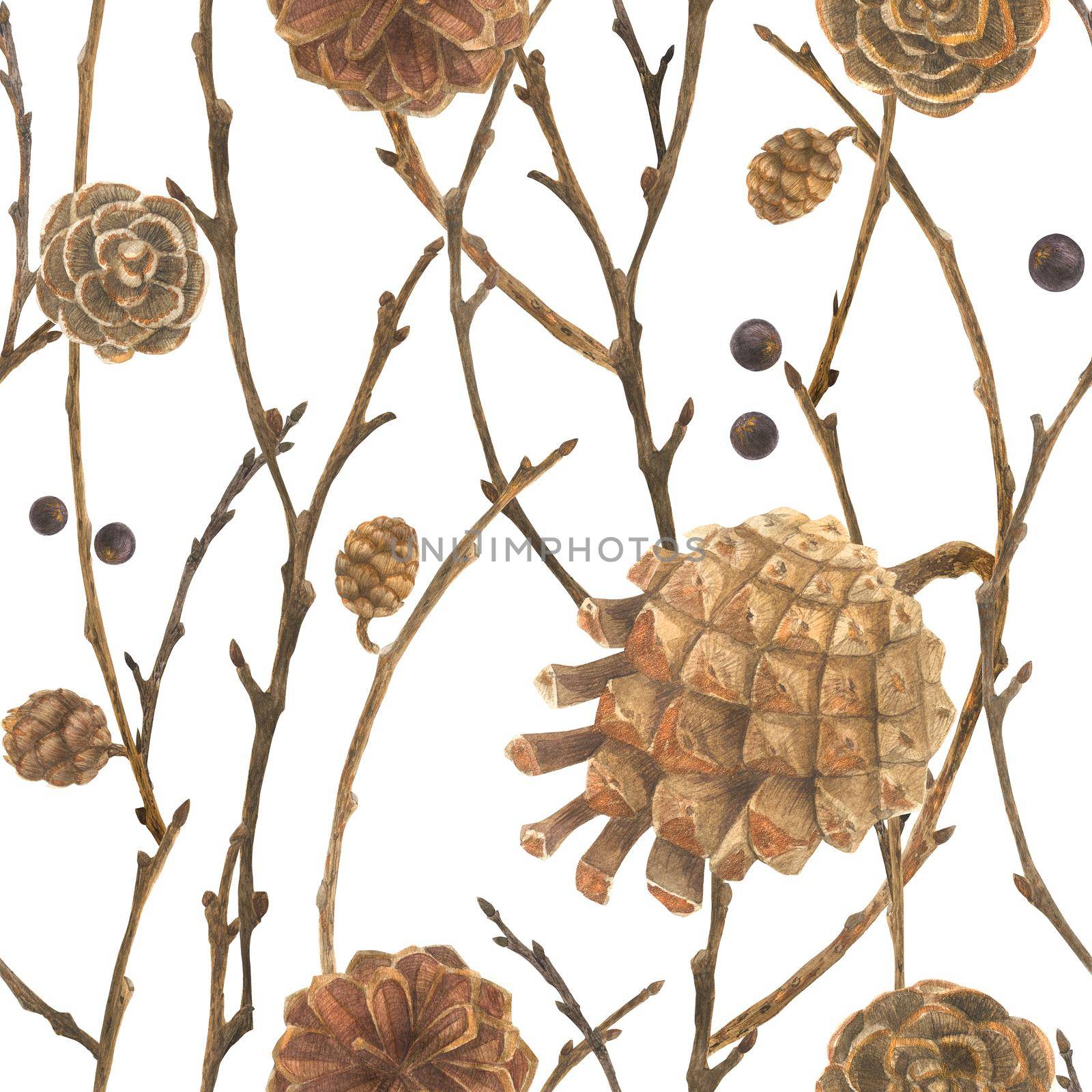 Botanical watercolor. Cones and branches. Wild nature forest seamless pattern for Christmas design, path included.