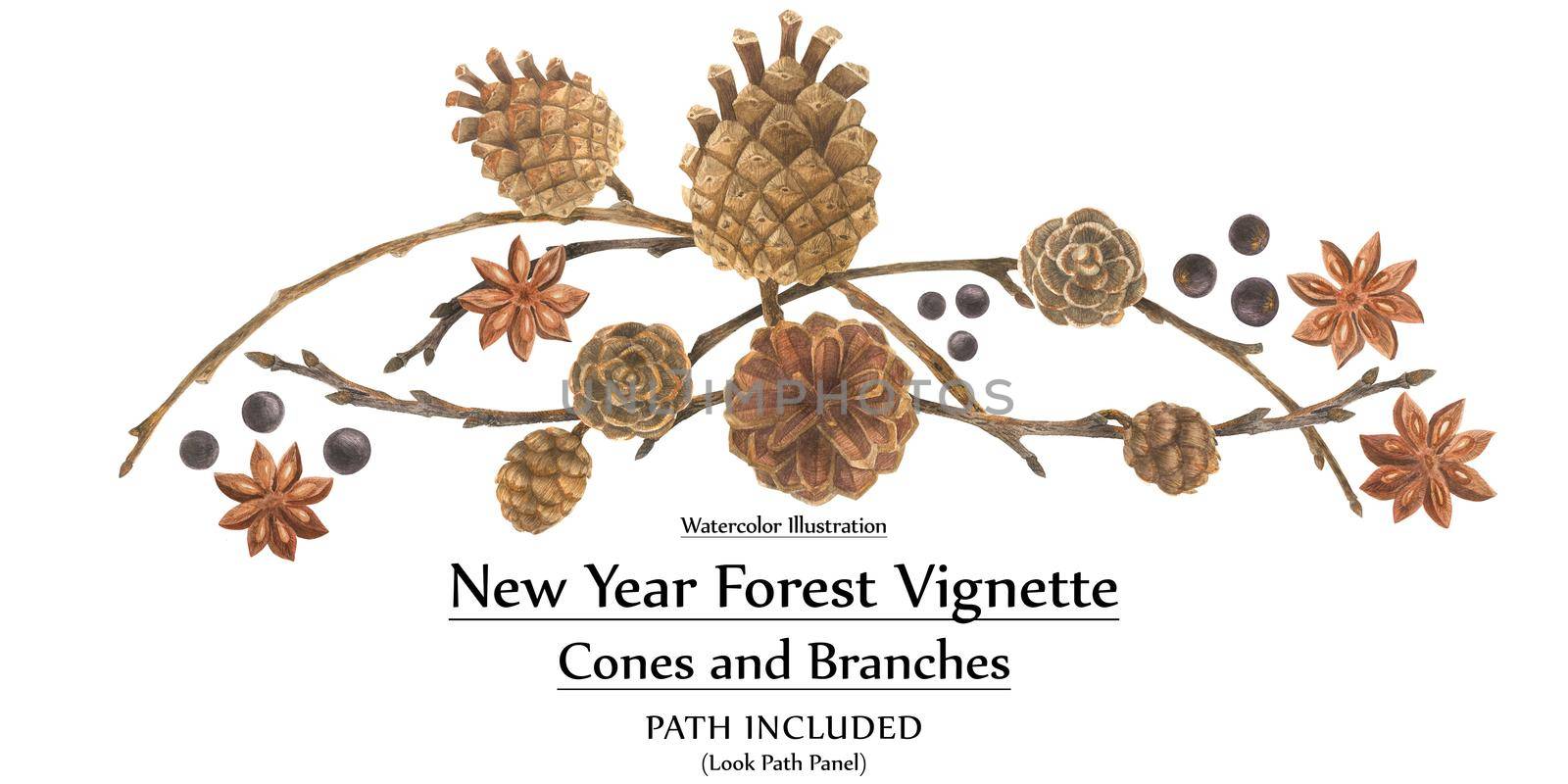 New year design vignette with branches and cones by Xeniasnowstorm