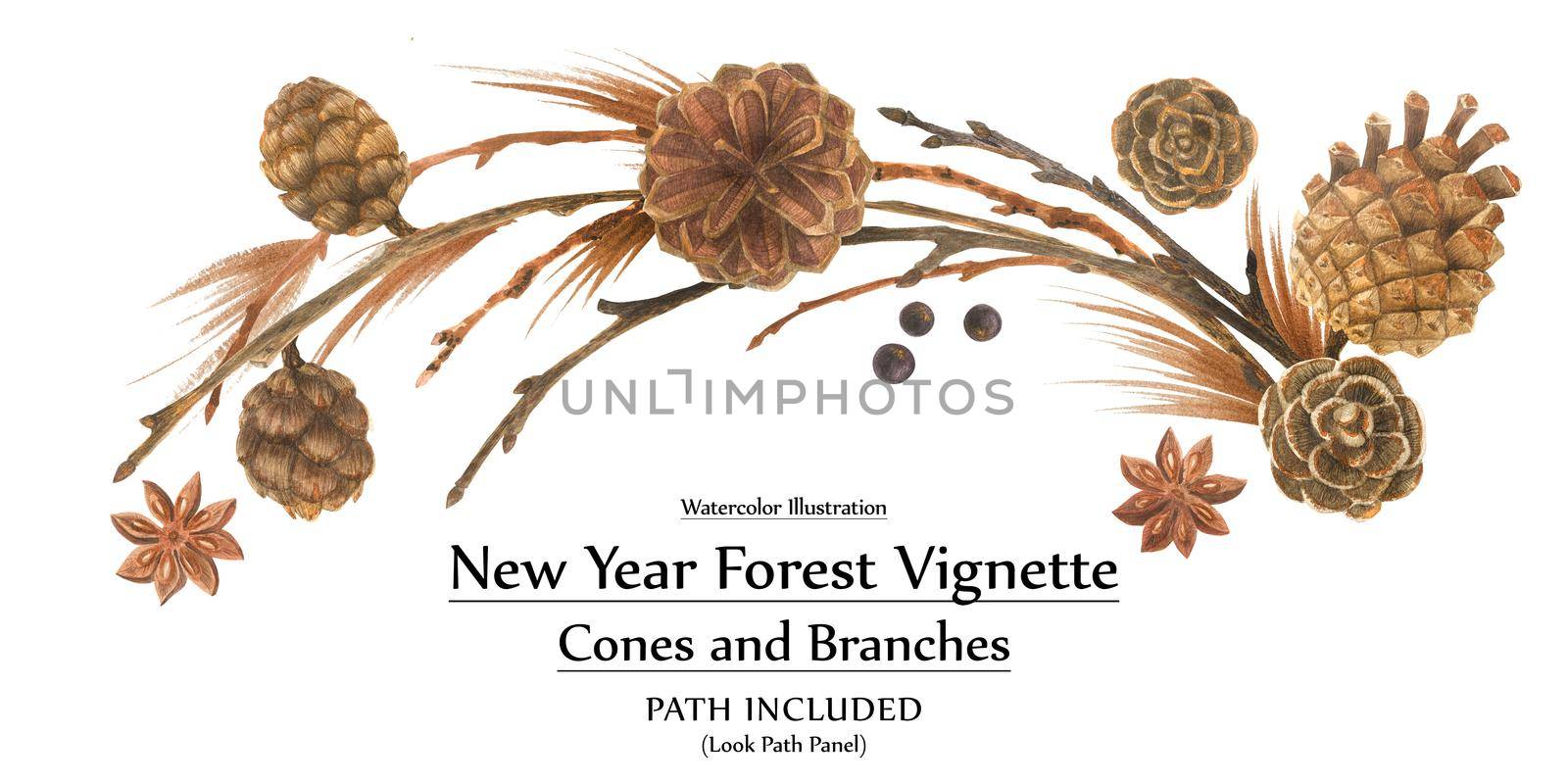 New year design by watercolor. Cones and branches forest vignette. Isolated, path included