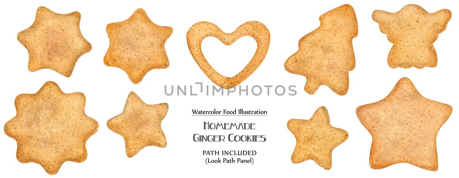 Watercolor food illustration. Homemade sugar ginger cookies. Isolated, path included